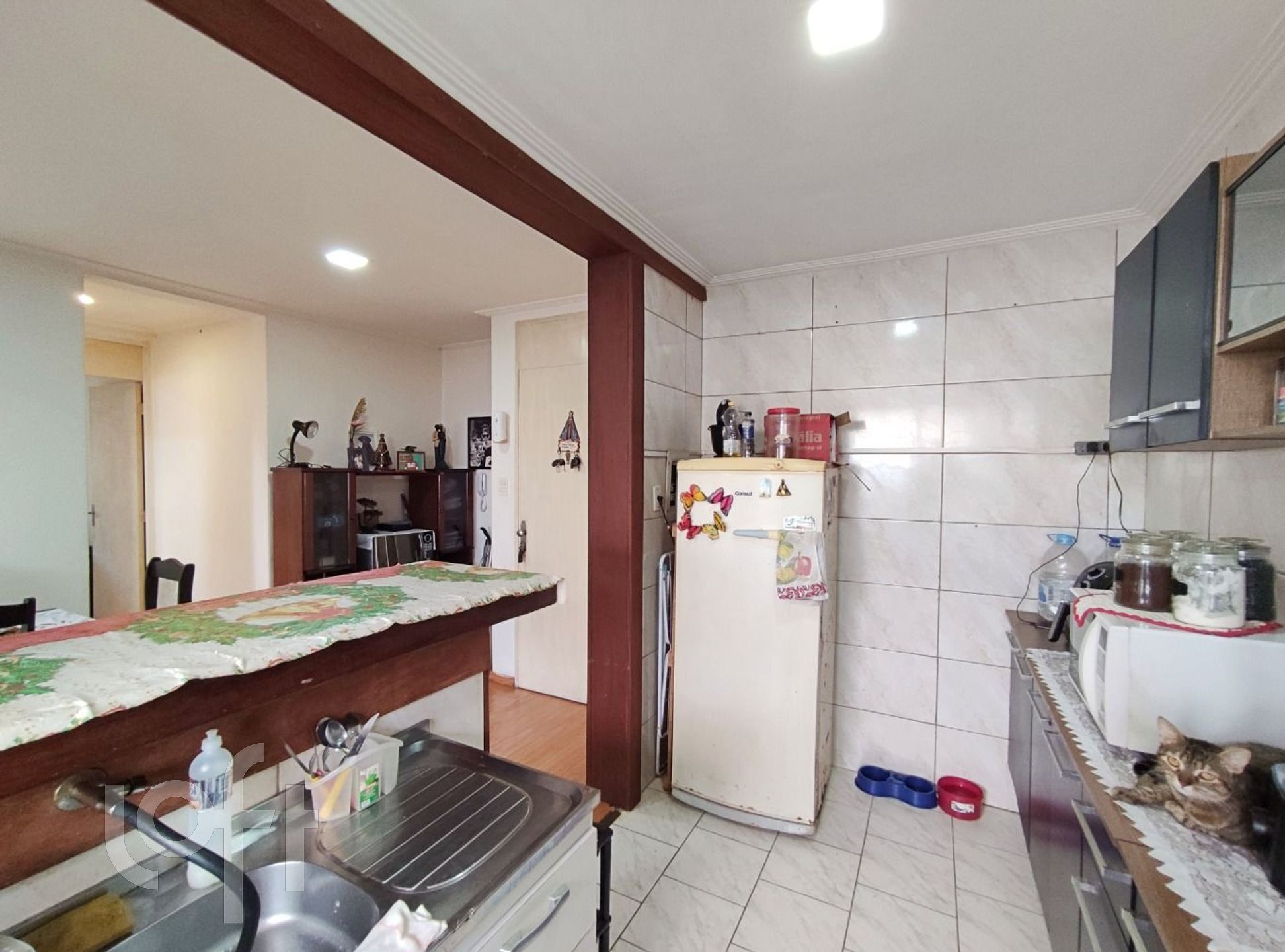 Imagem da propriedade 8