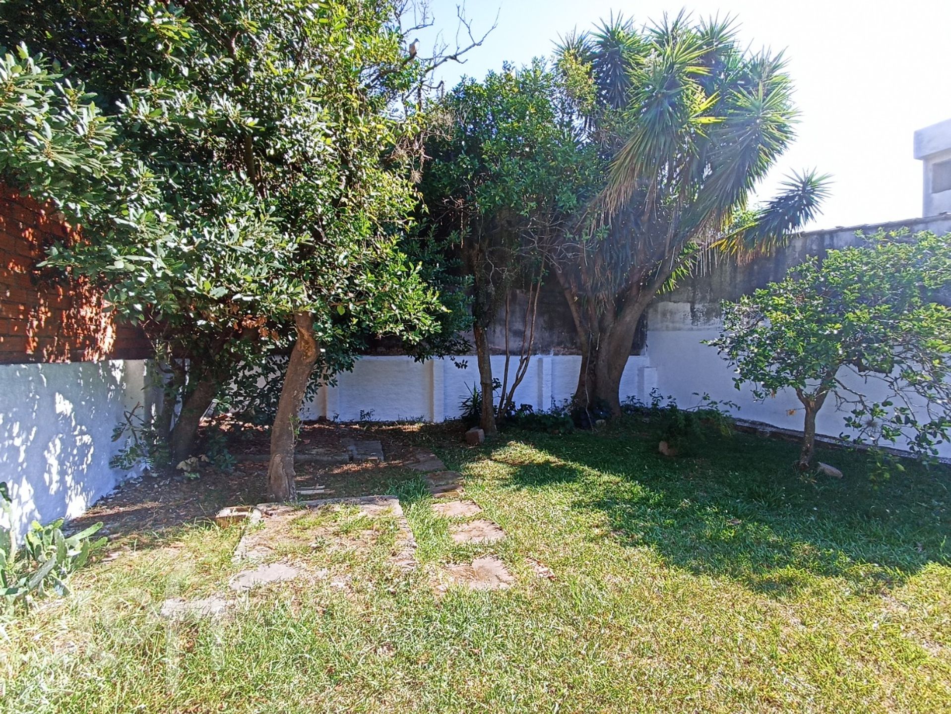 Imagem da propriedade 28