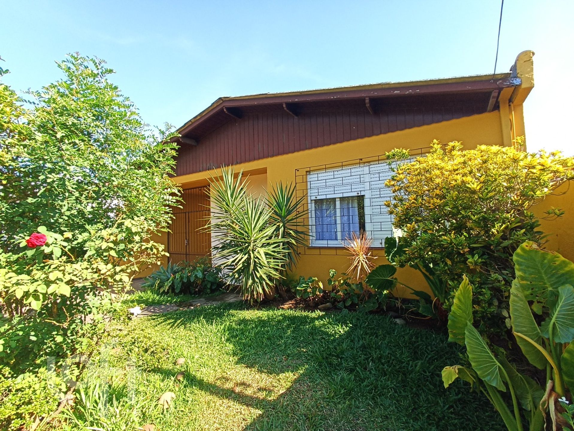 Imagem da propriedade 4