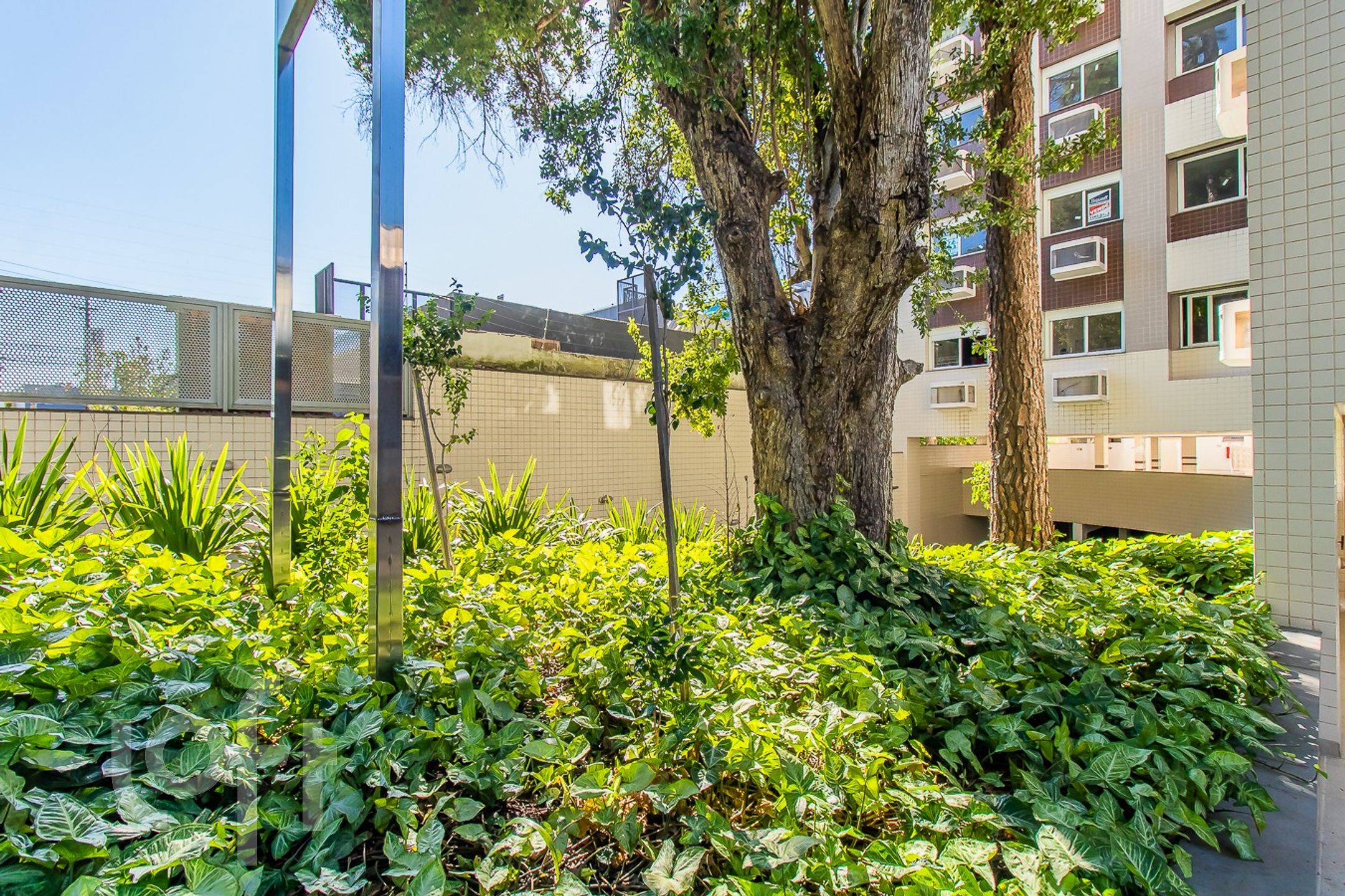 Imagem da propriedade 27