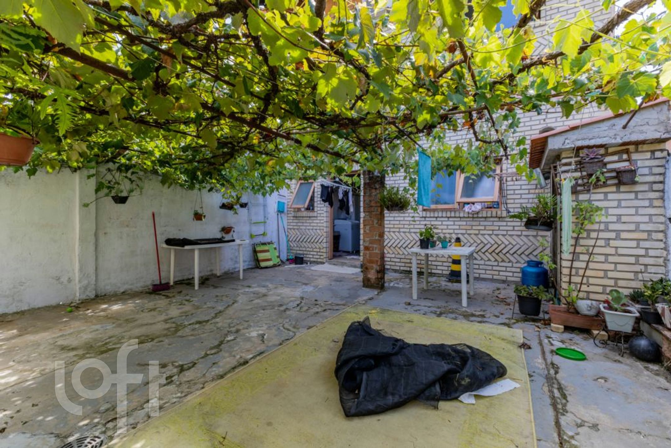 Imagem da propriedade 80