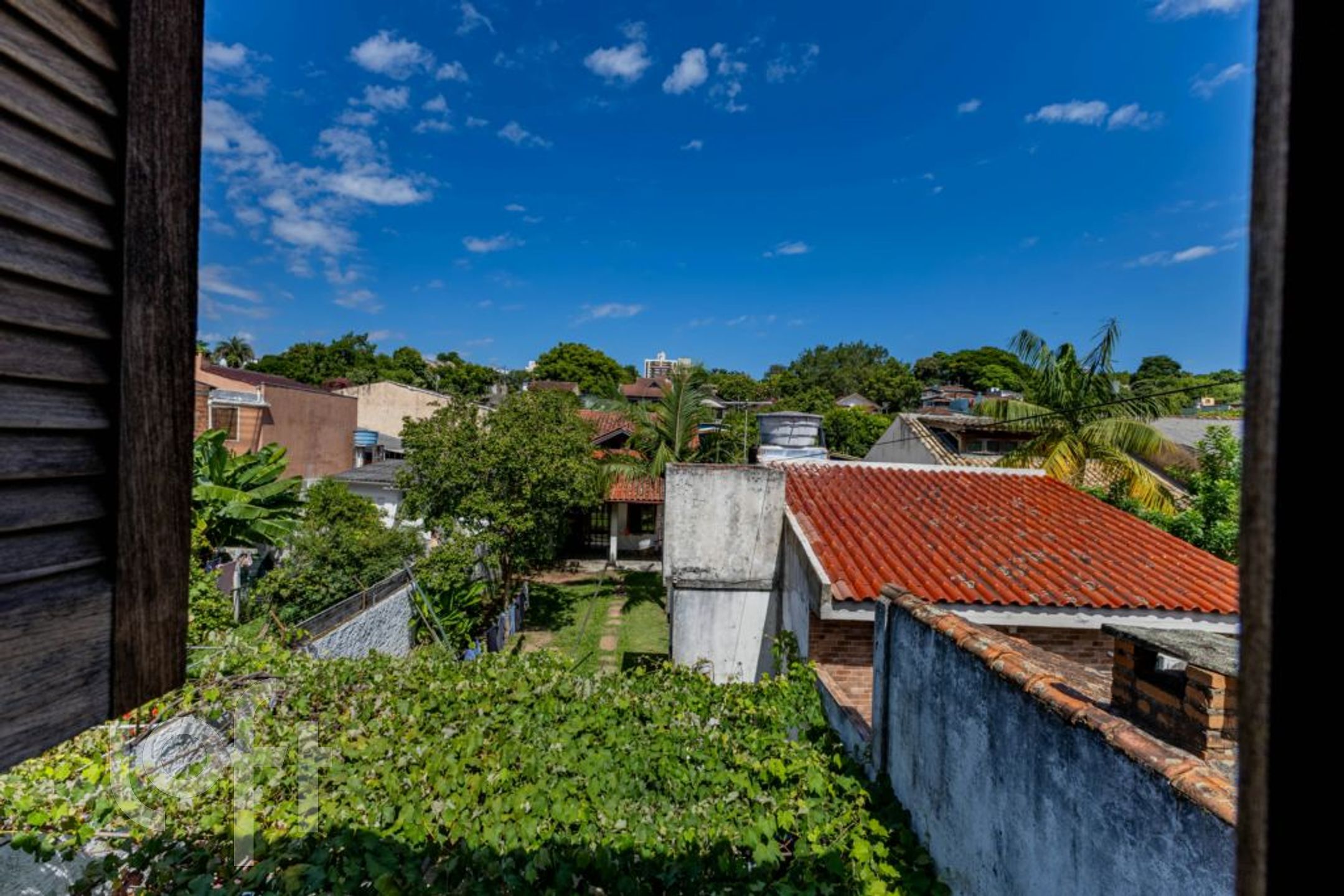 Imagem da propriedade 33