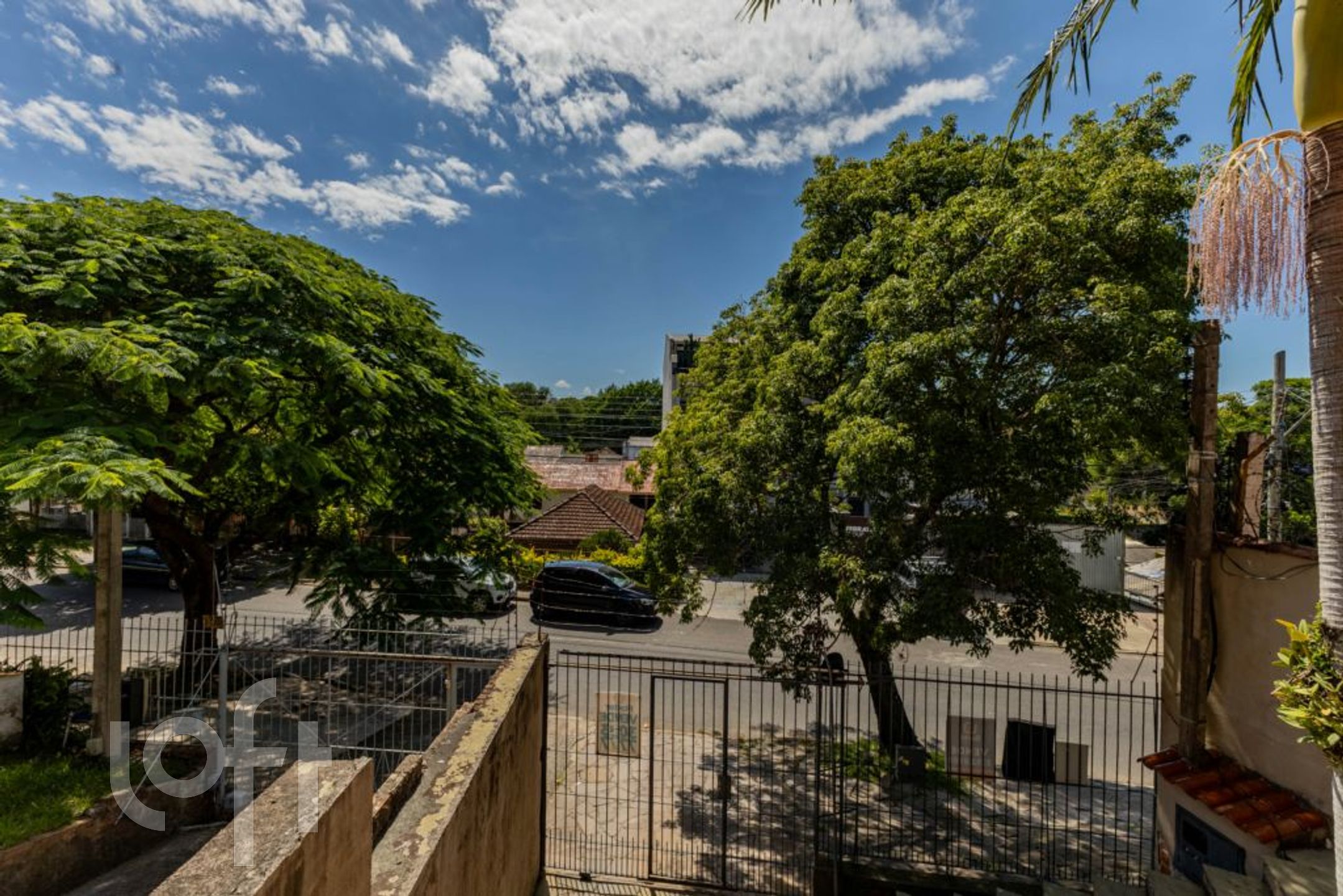 Imagem da propriedade 3