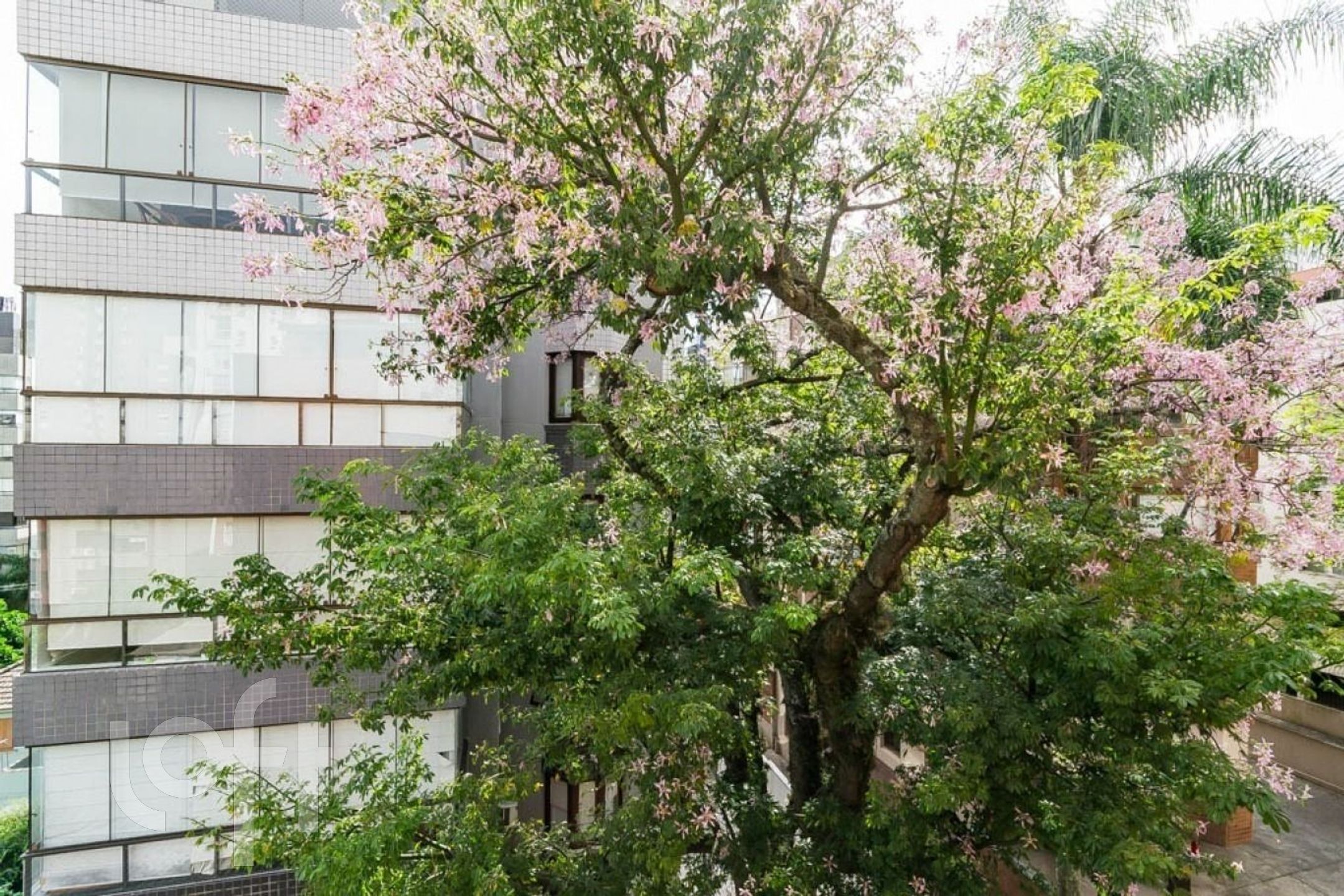 Imagem da propriedade 10