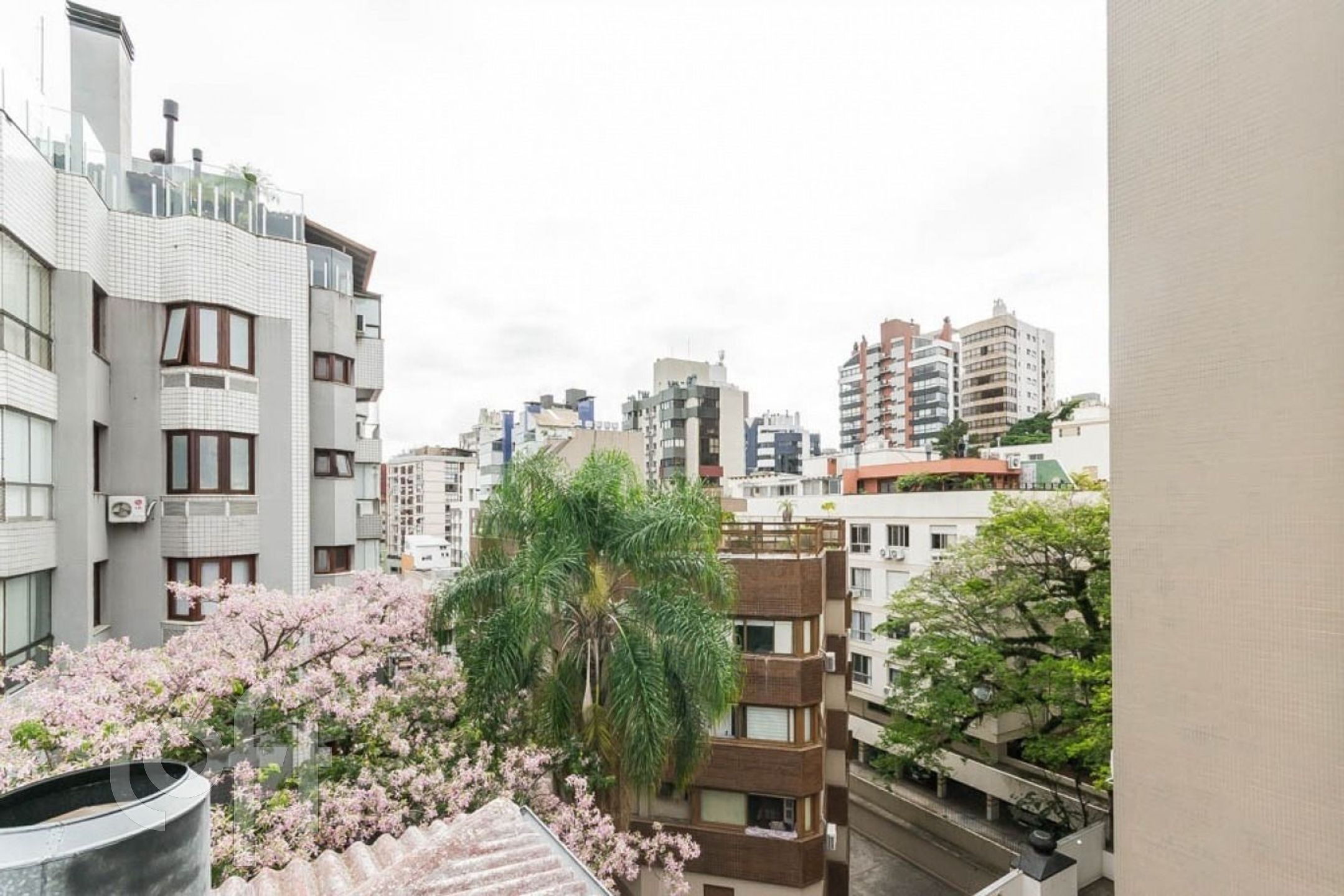 Imagem da propriedade 28