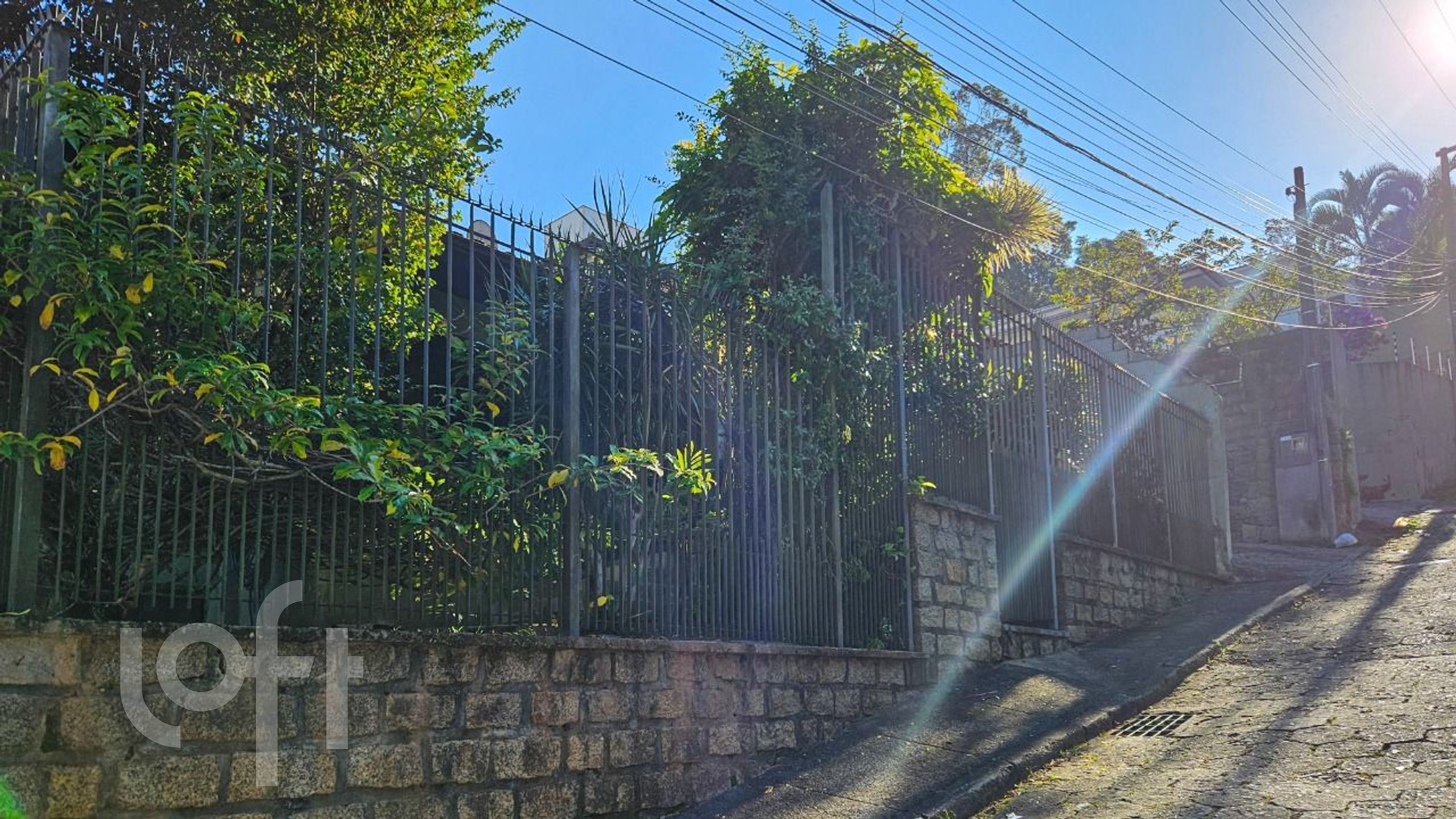 Imagem da propriedade 29