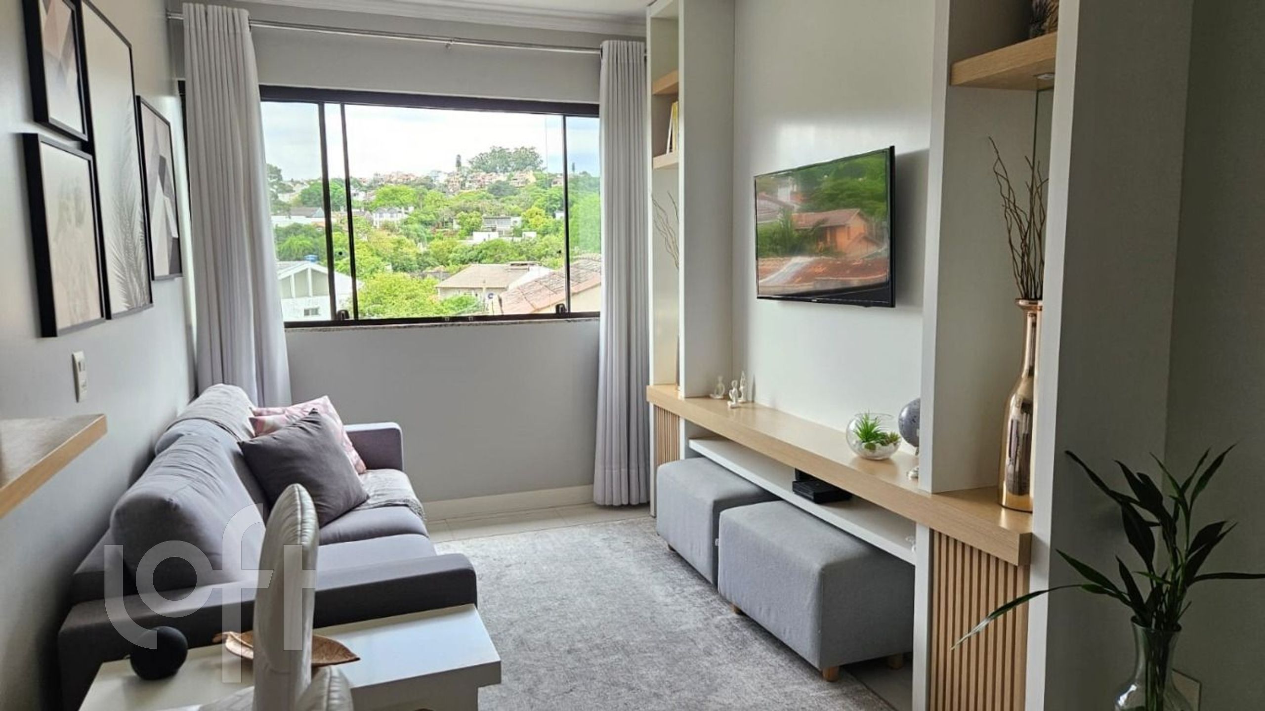 Imagem da propriedade 3