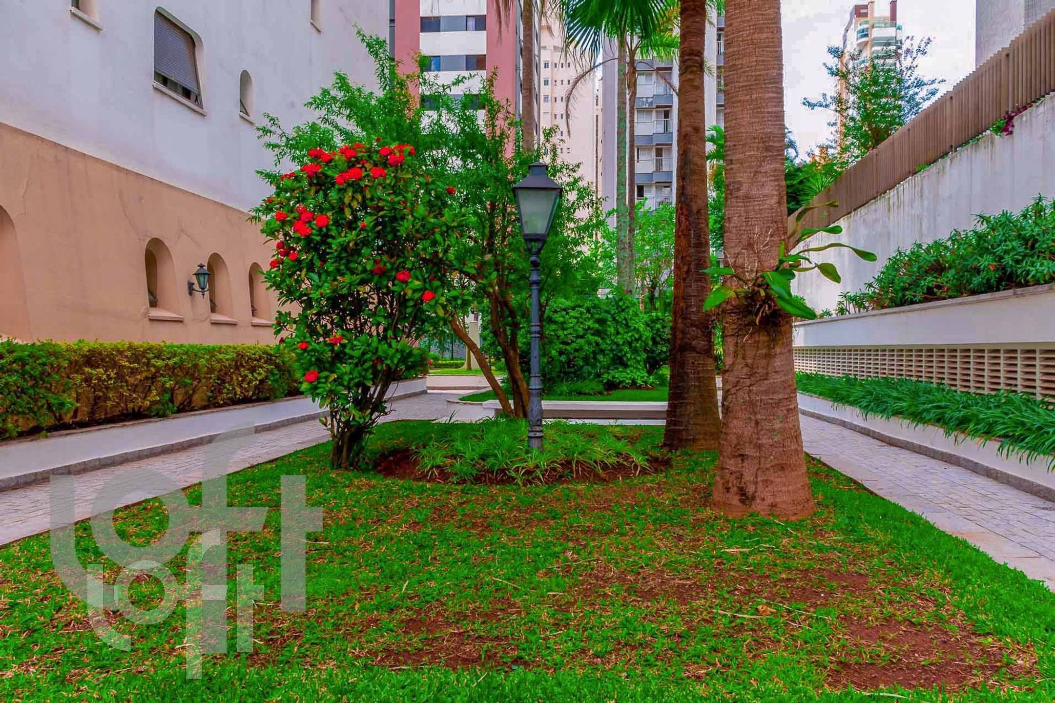 Imagem da propriedade 12