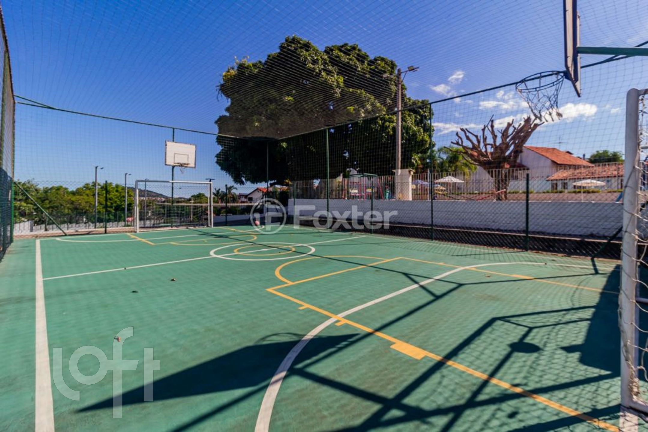 Imagem da propriedade 64