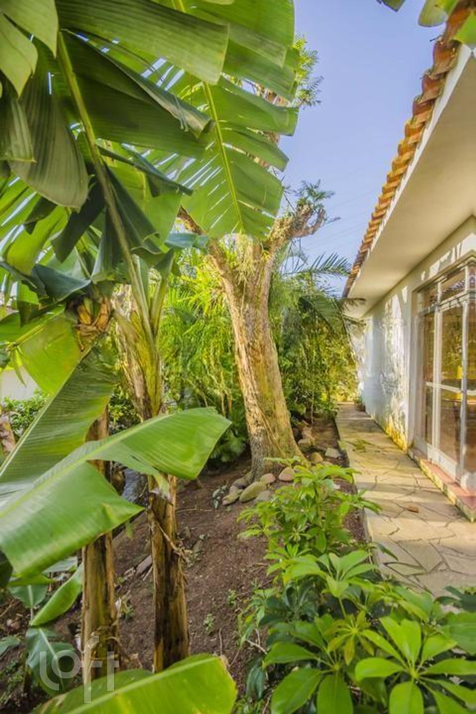 Imagem da propriedade 31