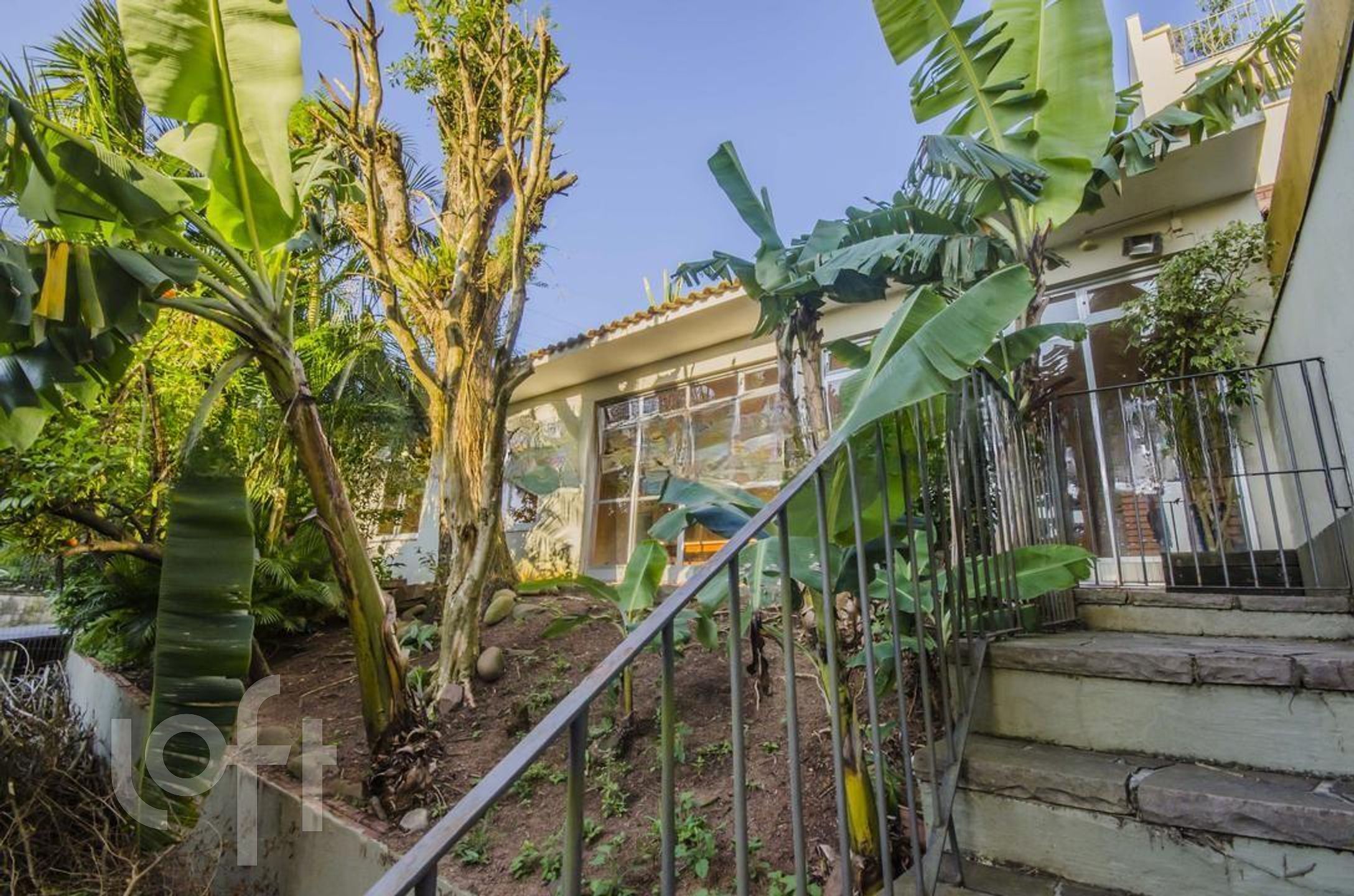 Imagem da propriedade 33