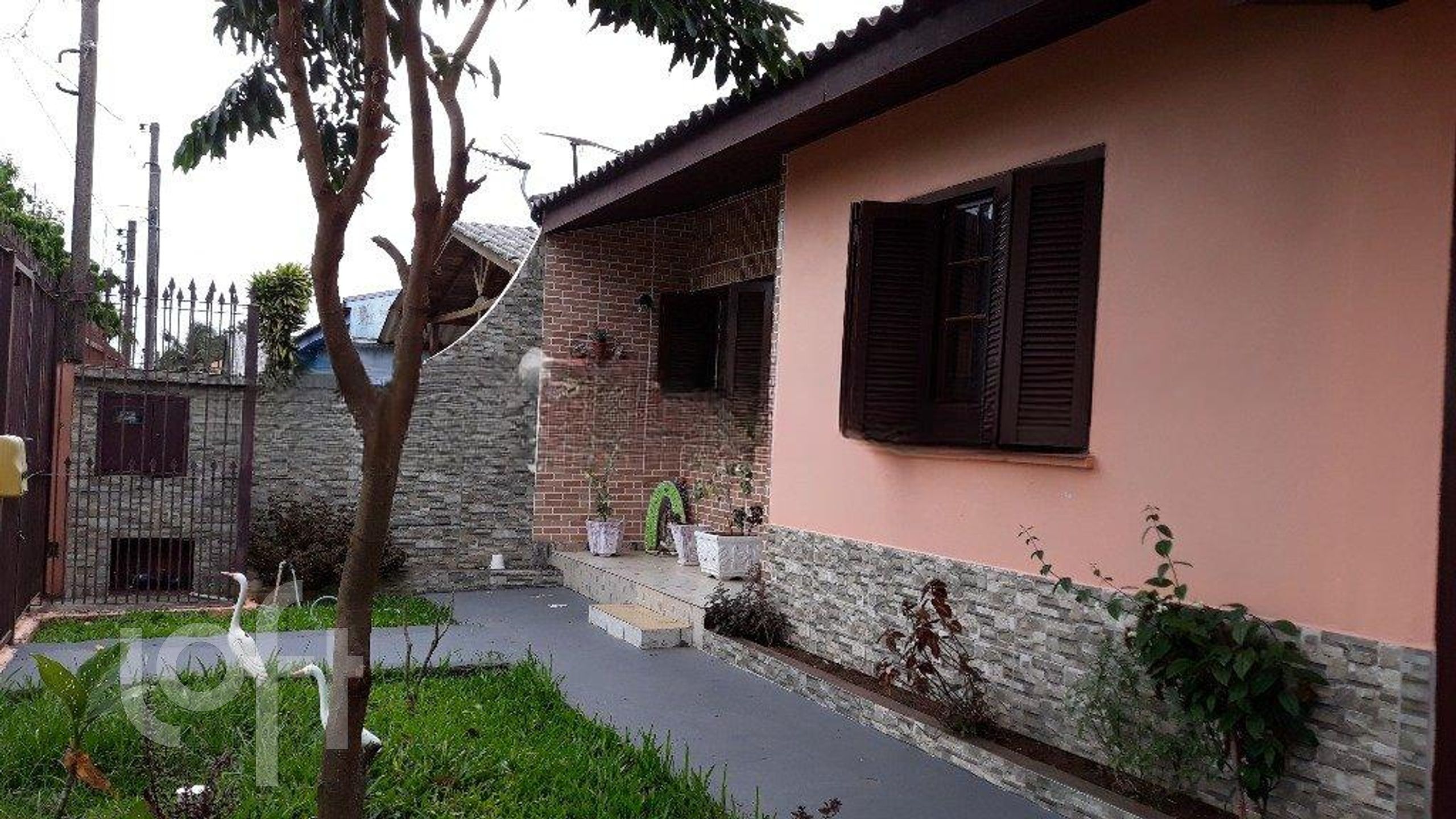 Imagem da propriedade 4