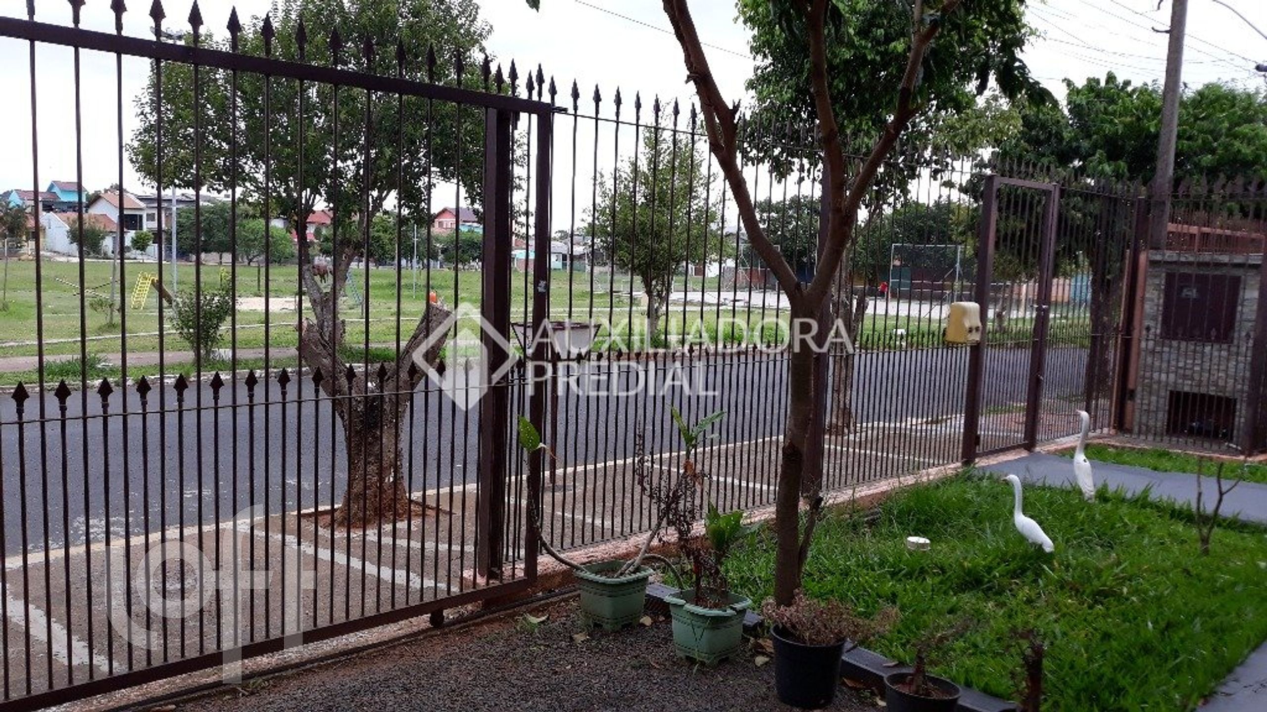 Imagem da propriedade 5