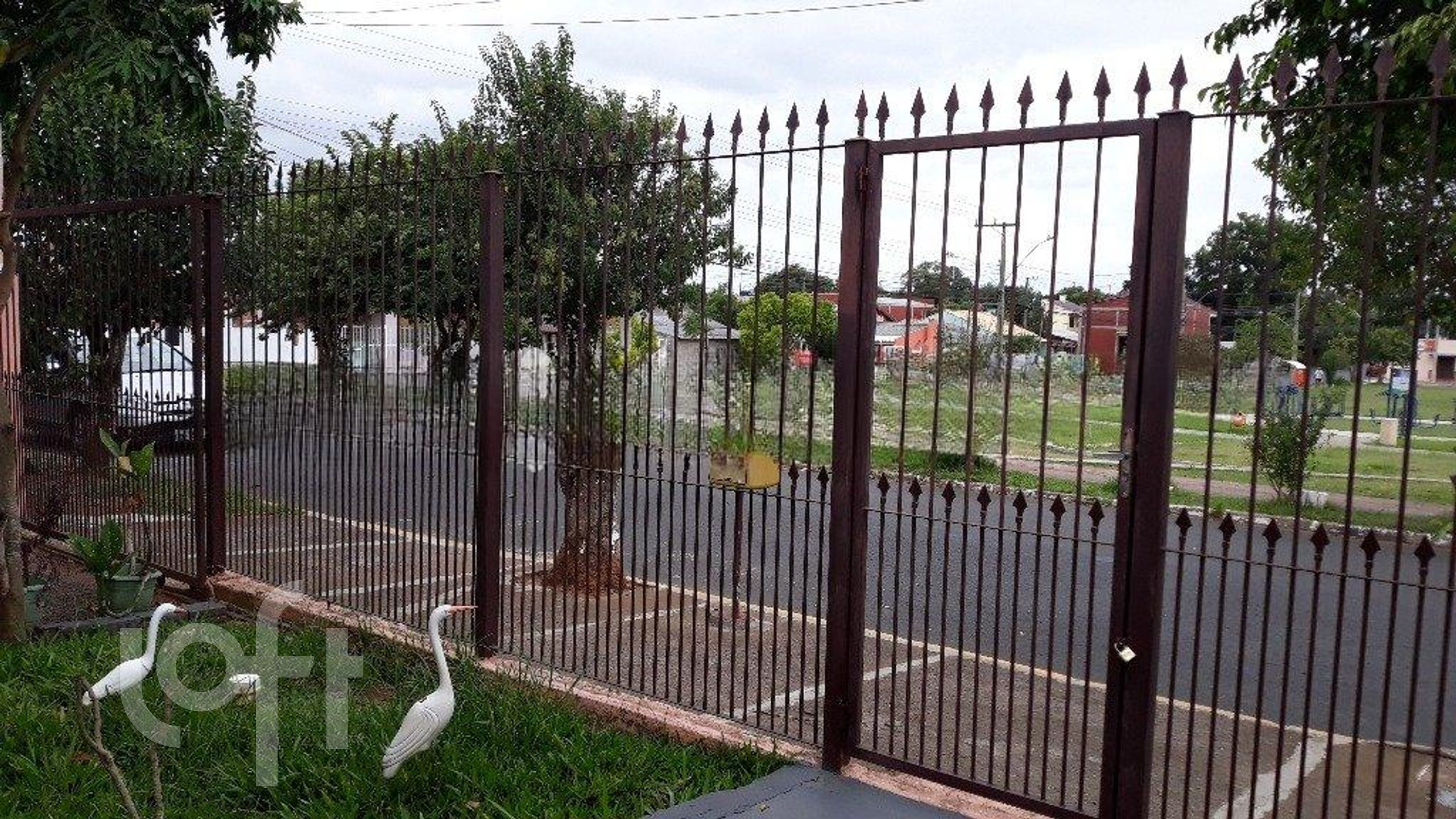 Imagem da propriedade 6