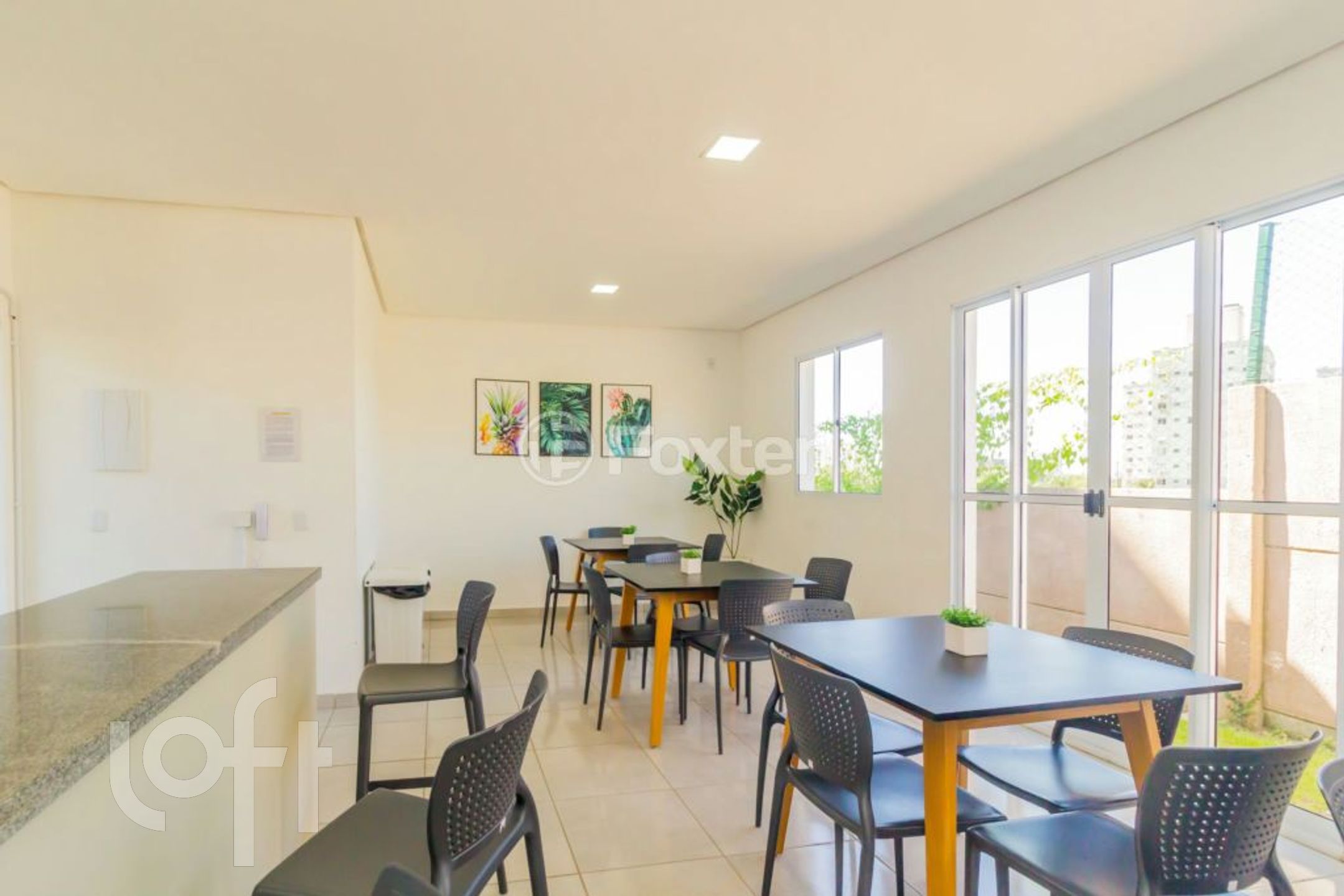 Imagem da propriedade 33