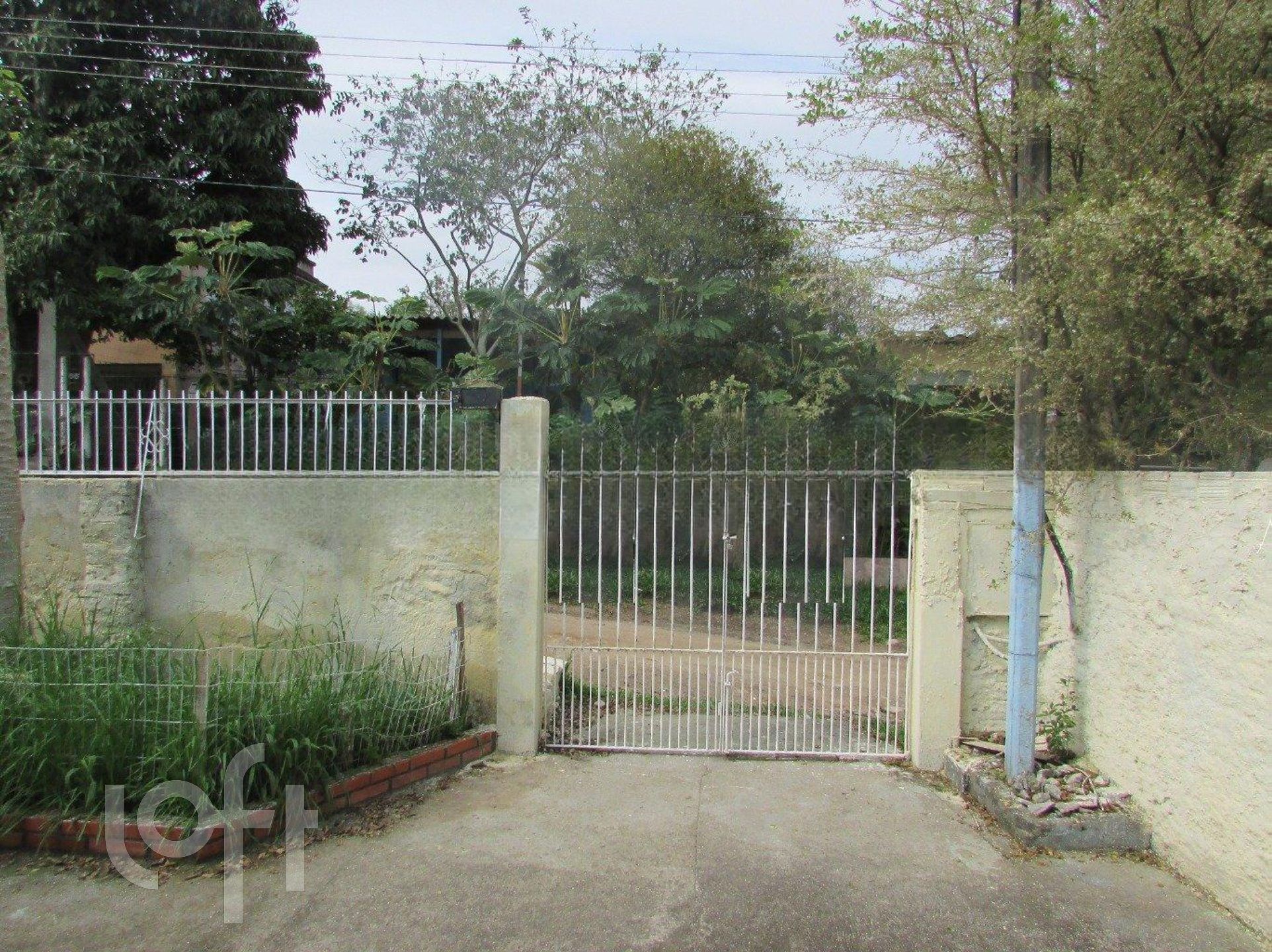 Imagem da propriedade 5