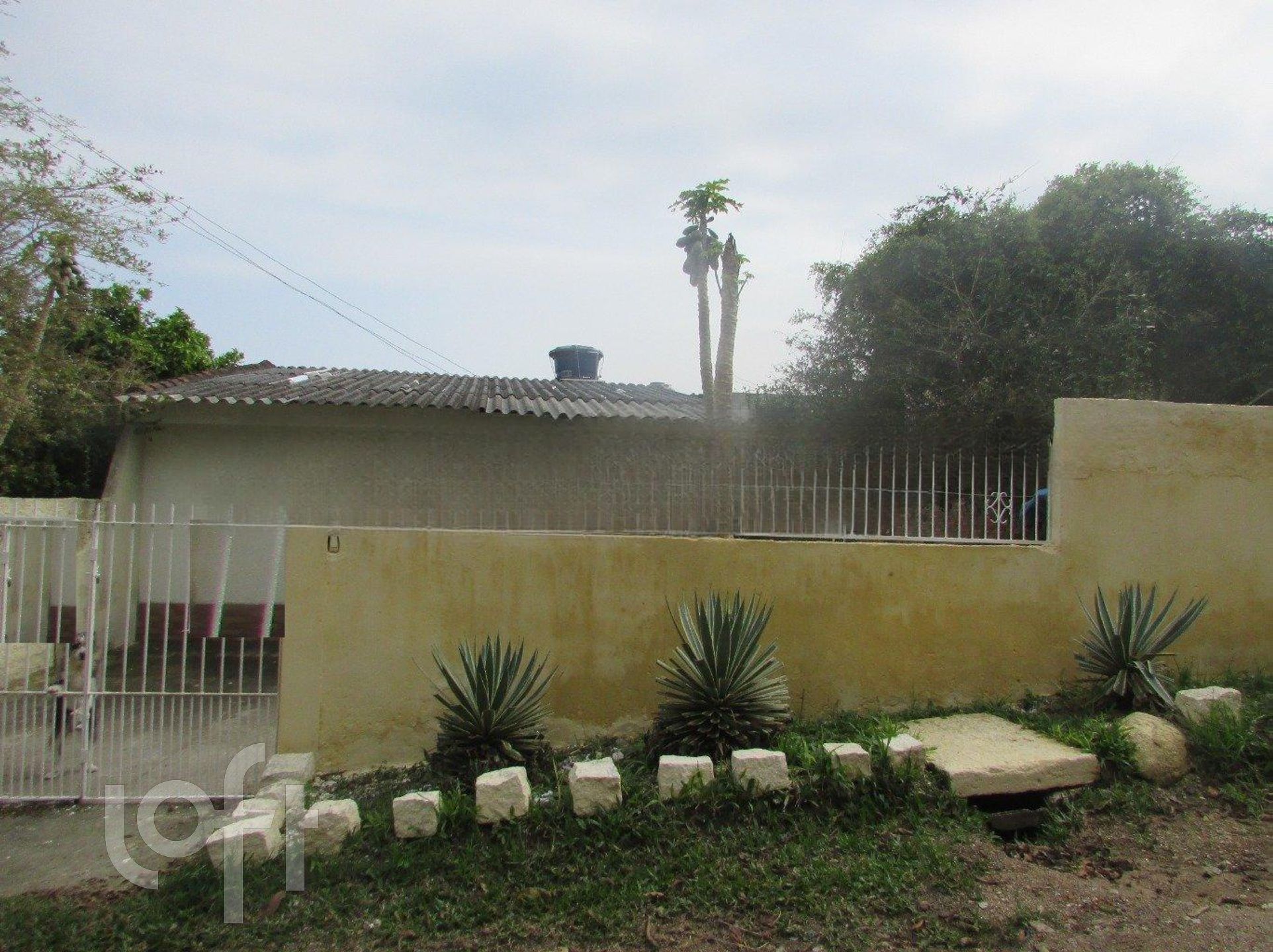 Imagem da propriedade 33