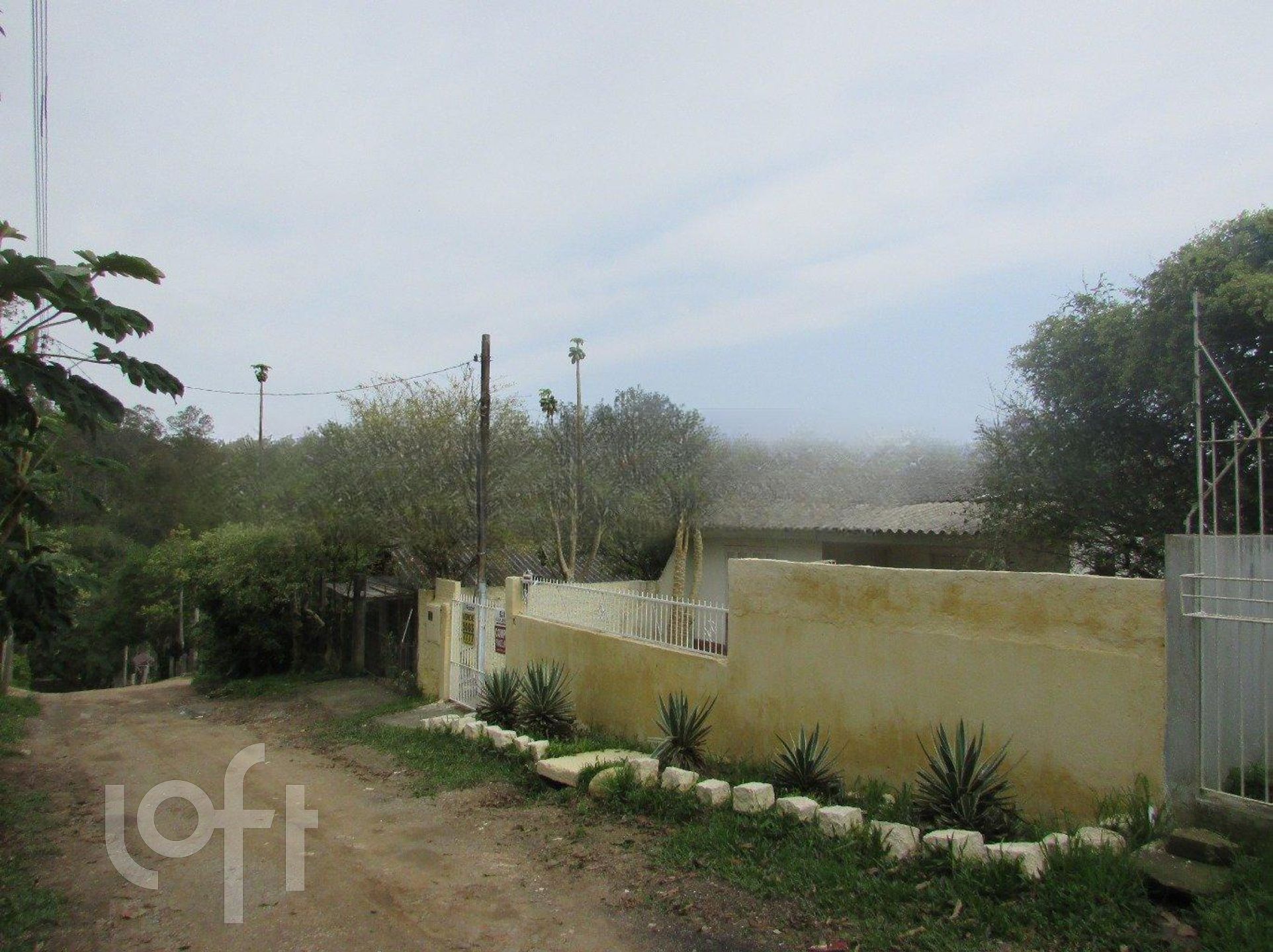 Imagem da propriedade 31