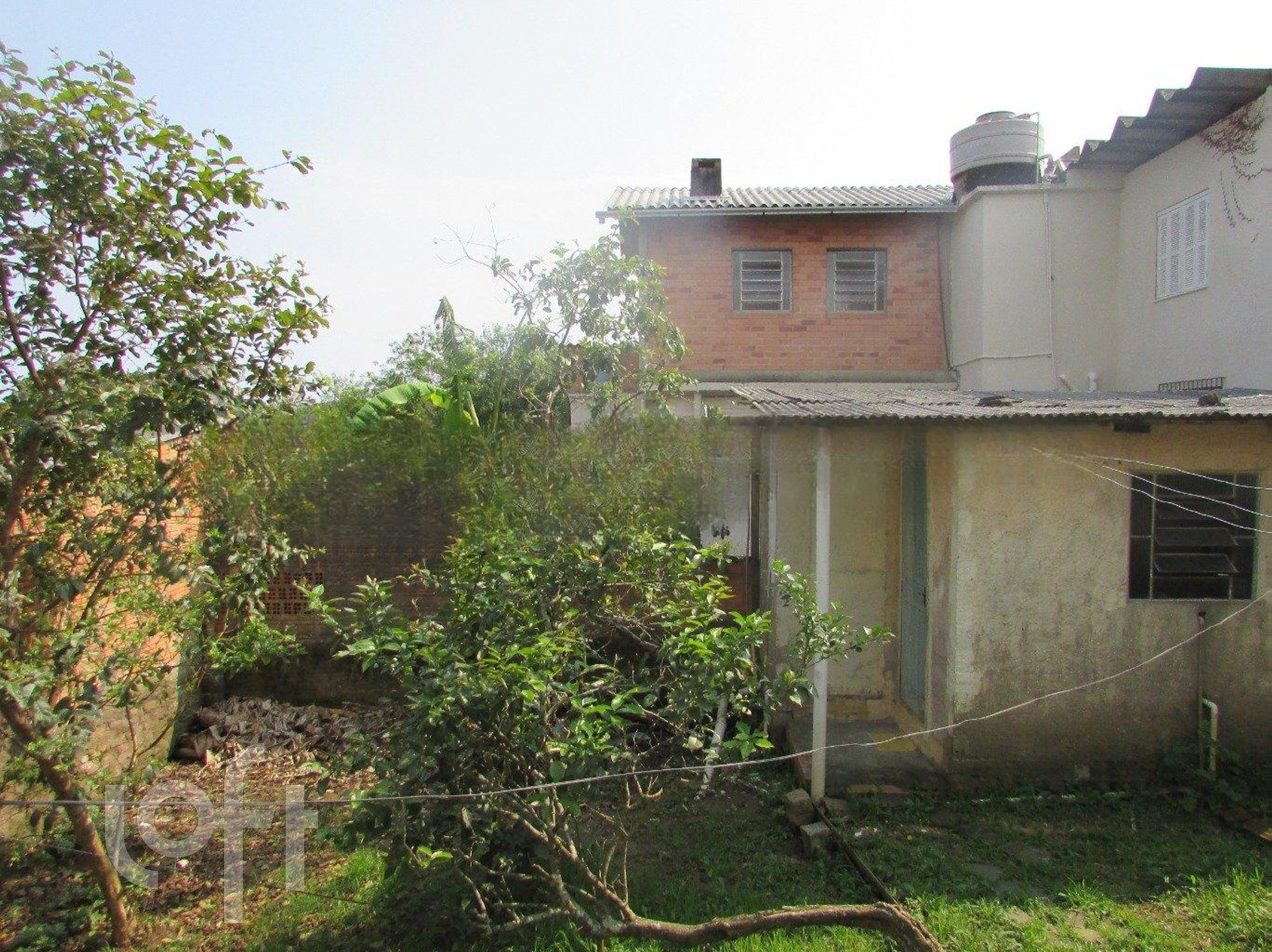 Imagem da propriedade 16