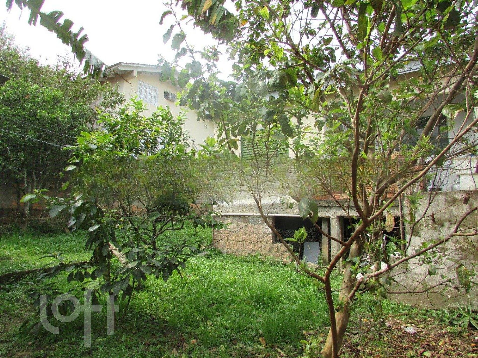 Imagem da propriedade 25