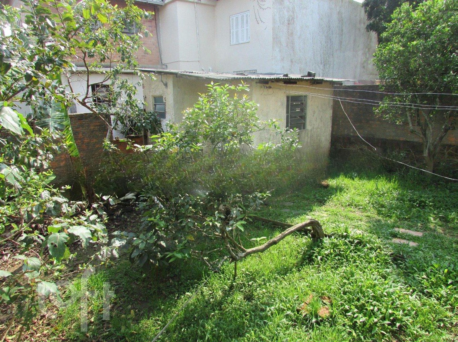 Imagem da propriedade 22