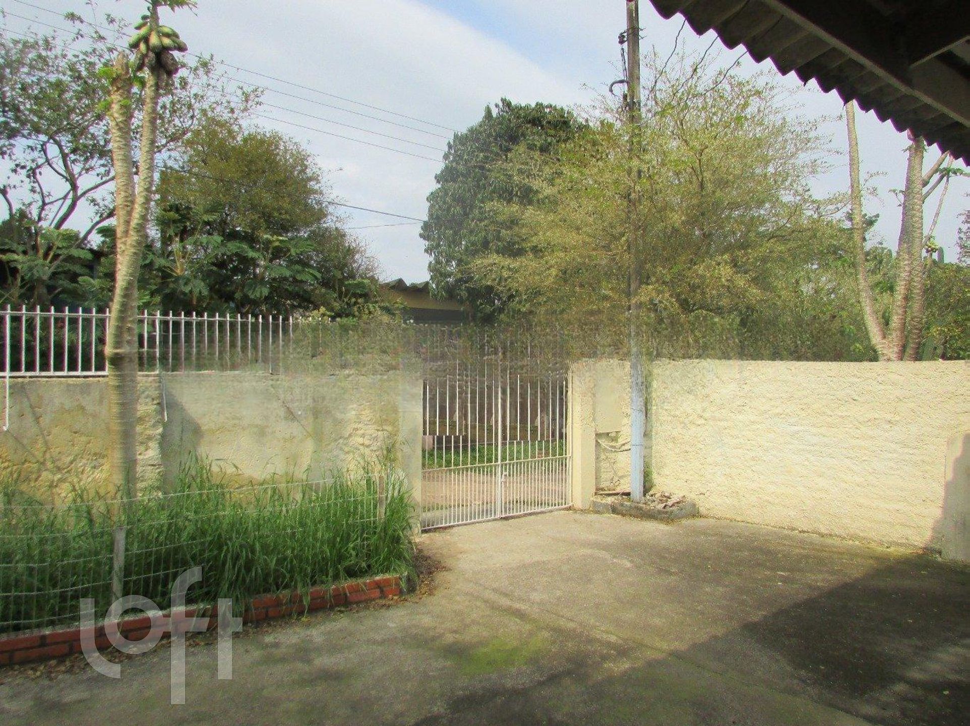 Imagem da propriedade 6