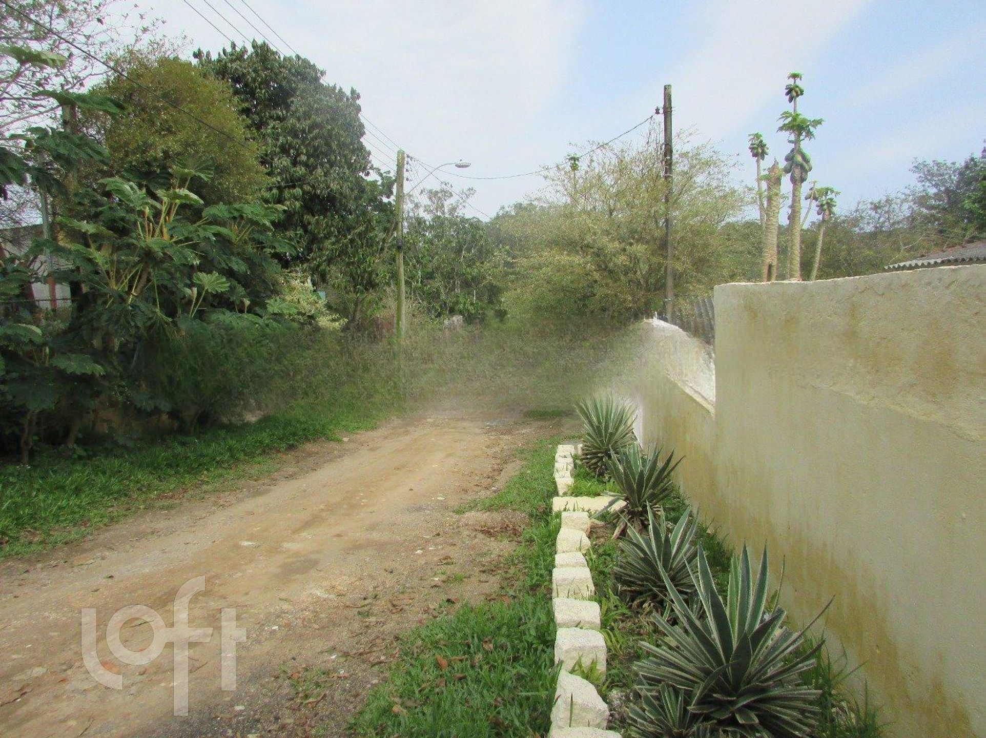 Imagem da propriedade 34