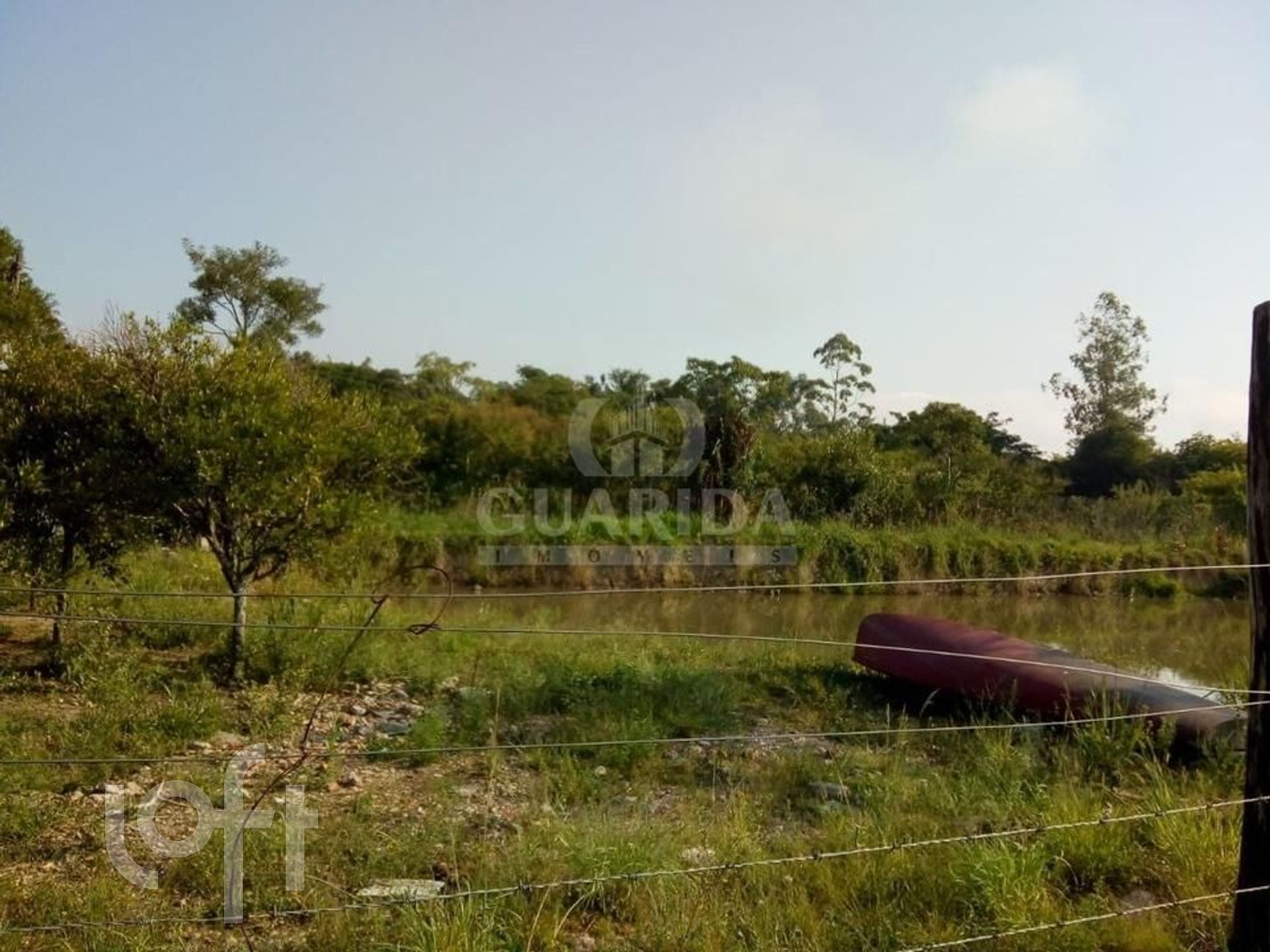 Imagem da propriedade 16