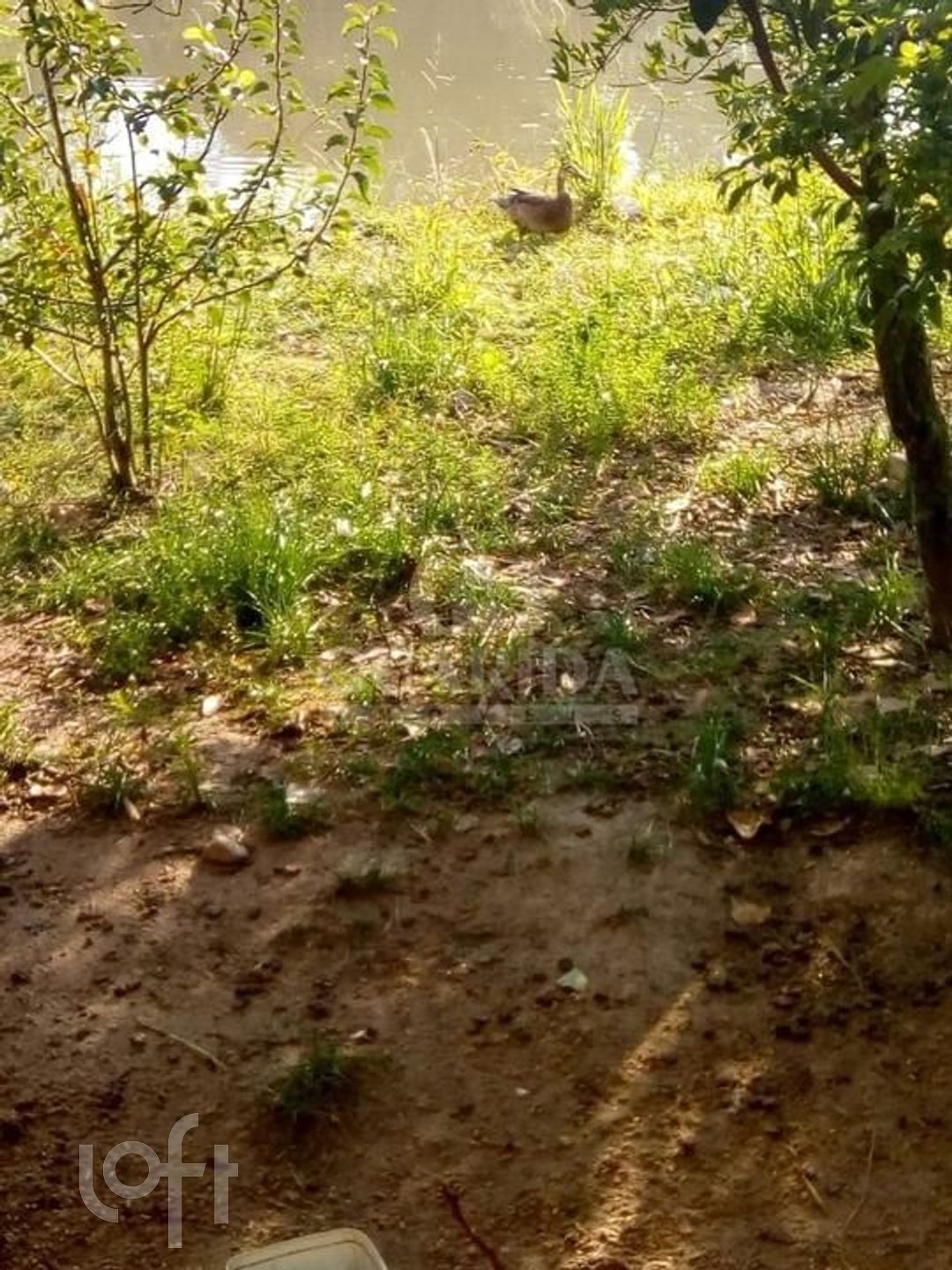 Imagem da propriedade 18