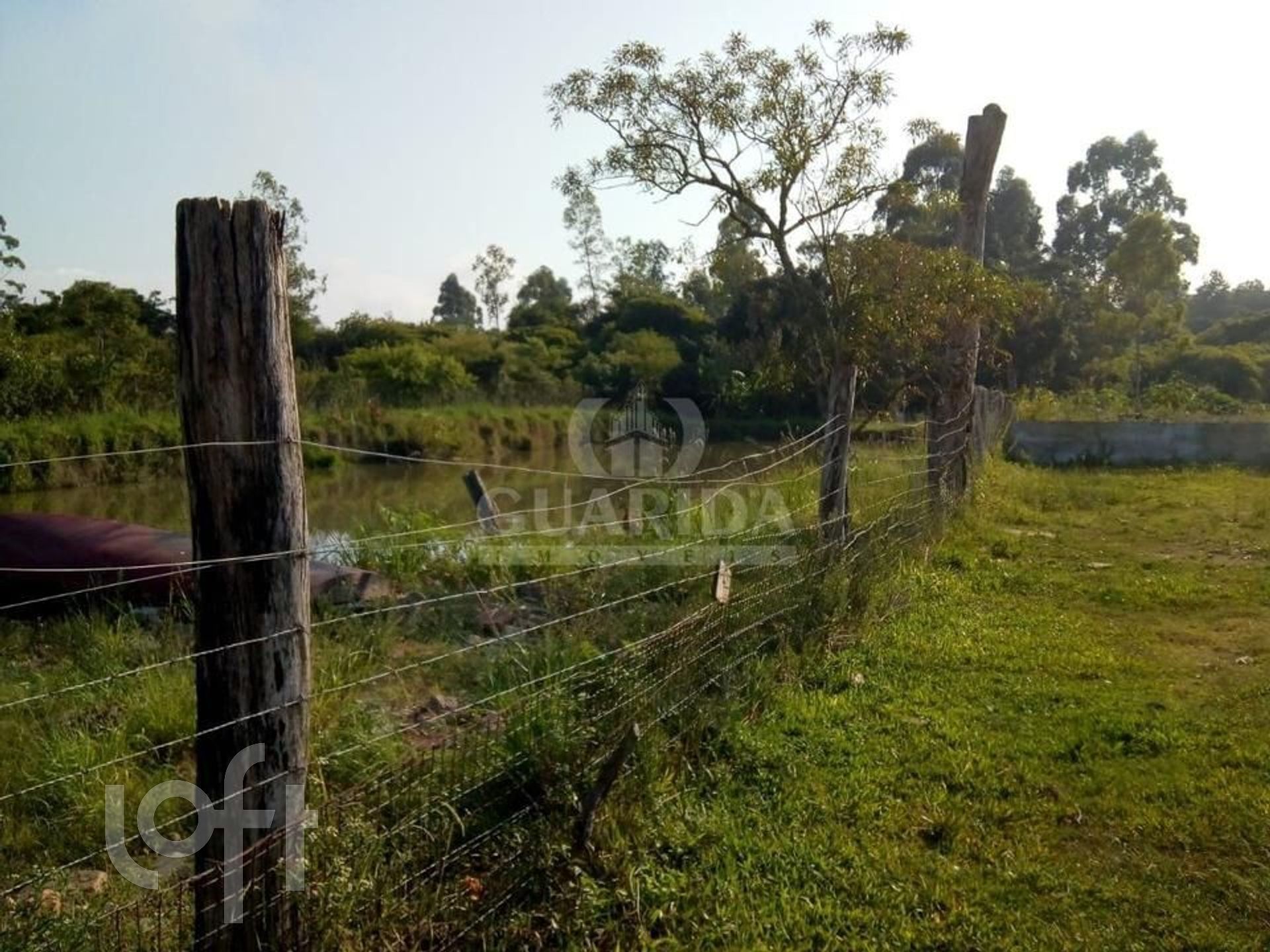 Imagem da propriedade 17