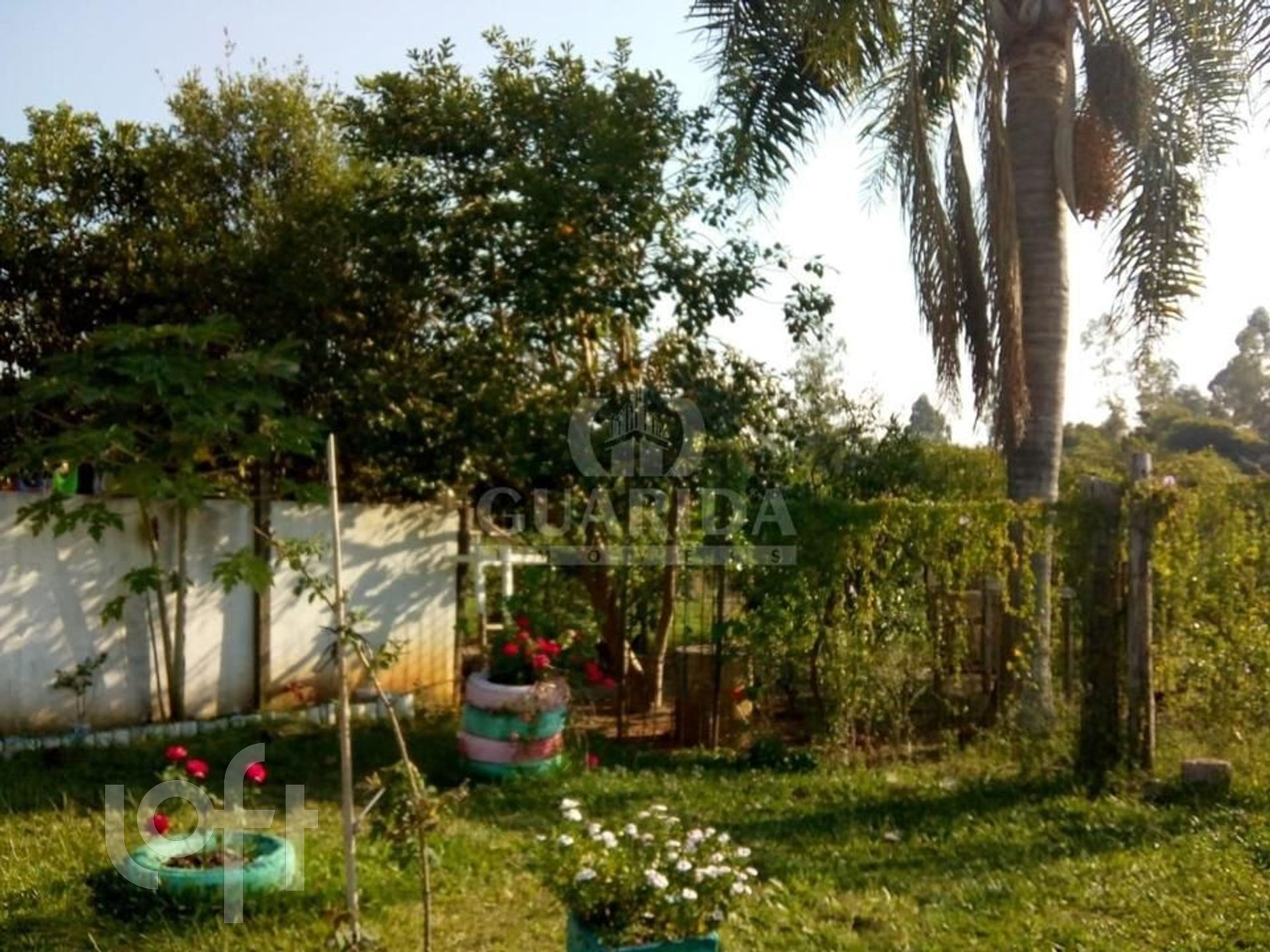 Imagem da propriedade 21