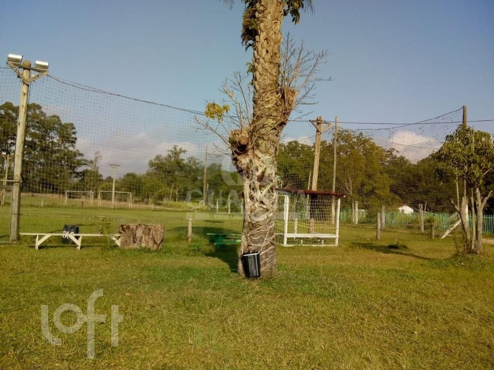 Imagem da propriedade 15