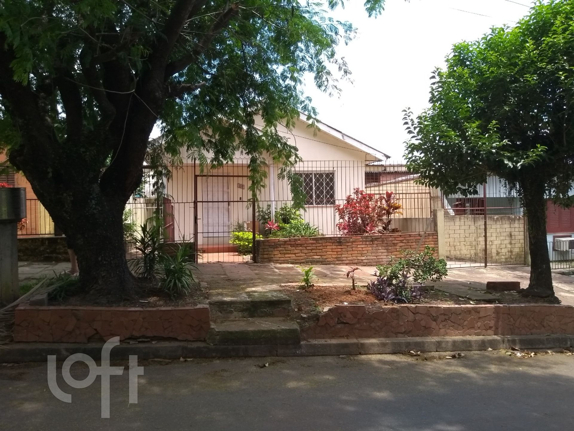 Imagem da propriedade 3