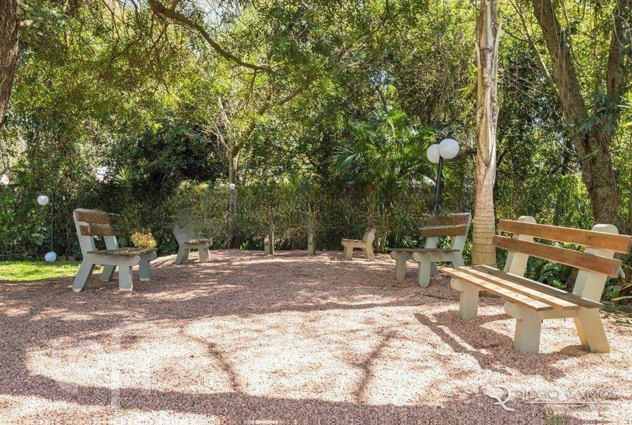 Imagem da propriedade 26