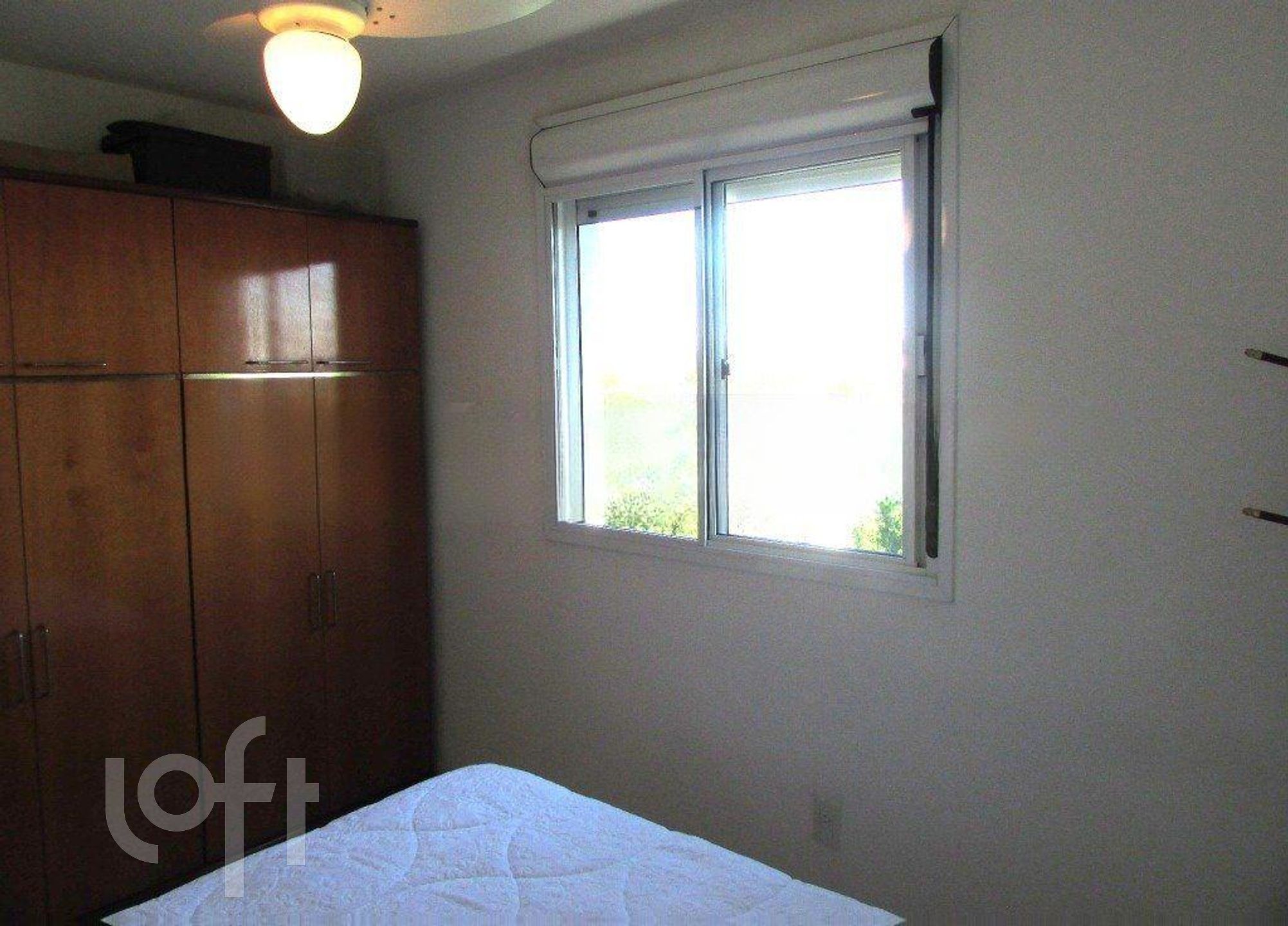 Imagem da propriedade 13