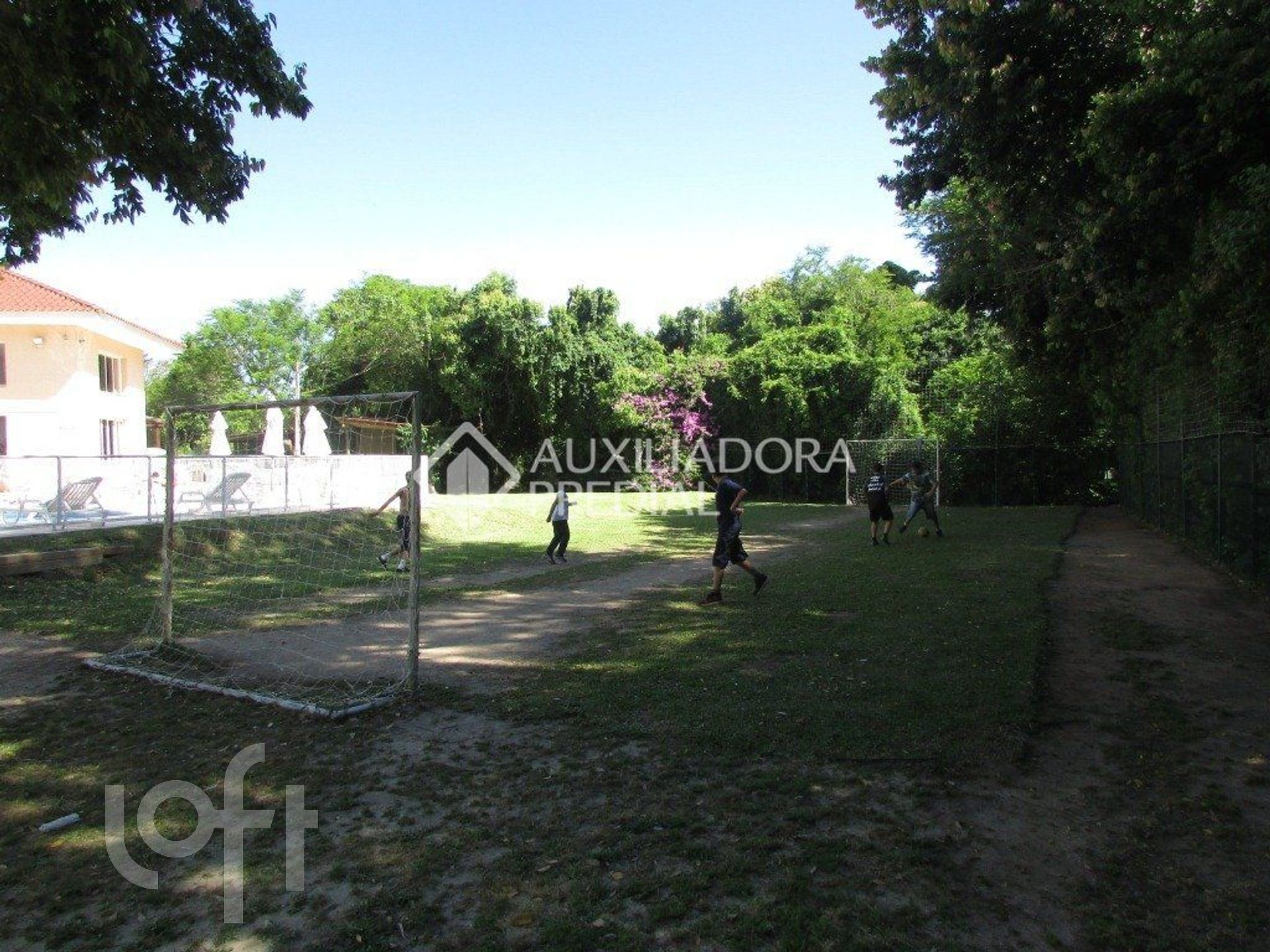 Imagem da propriedade 19