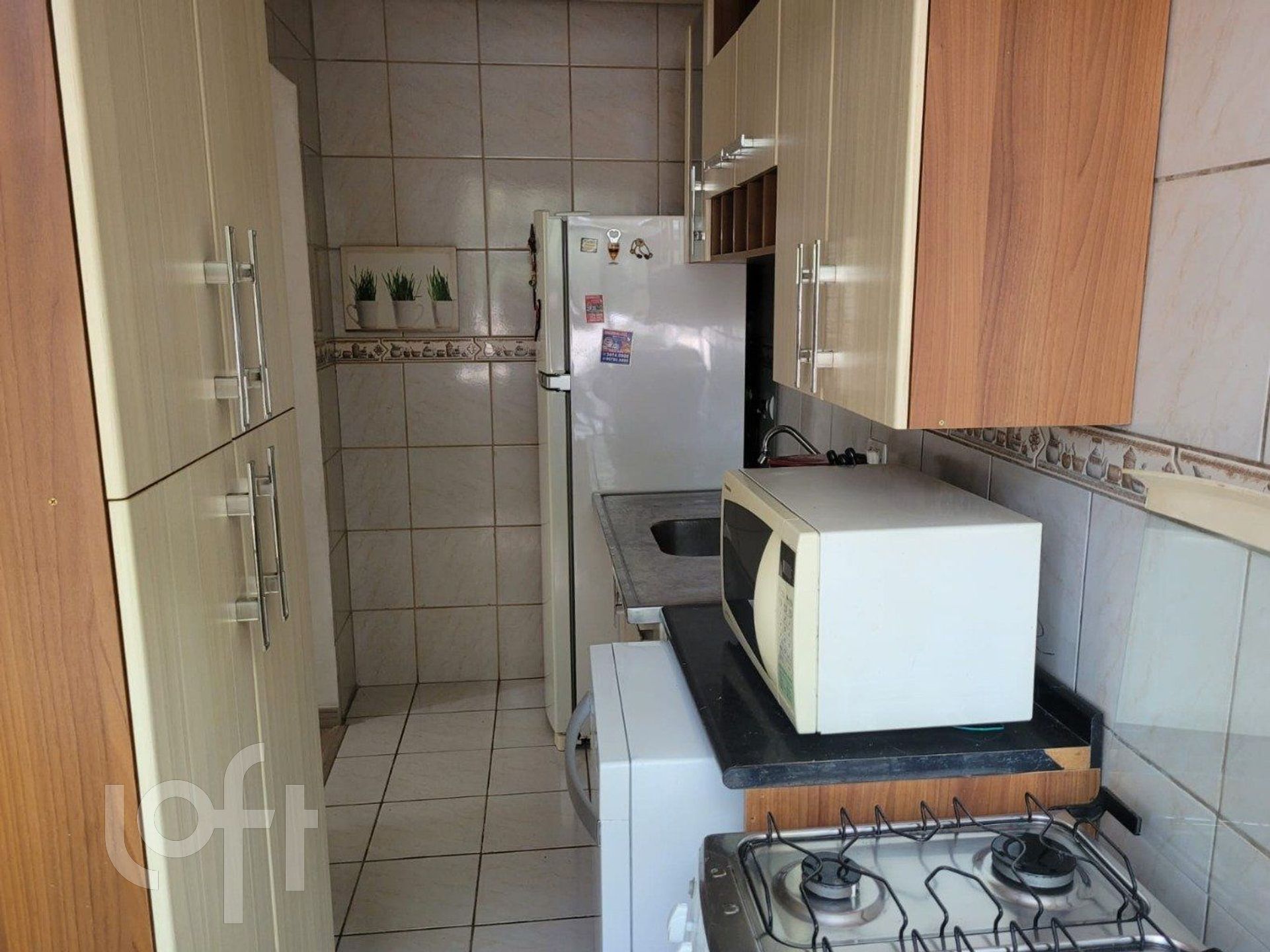 Imagem da propriedade 7