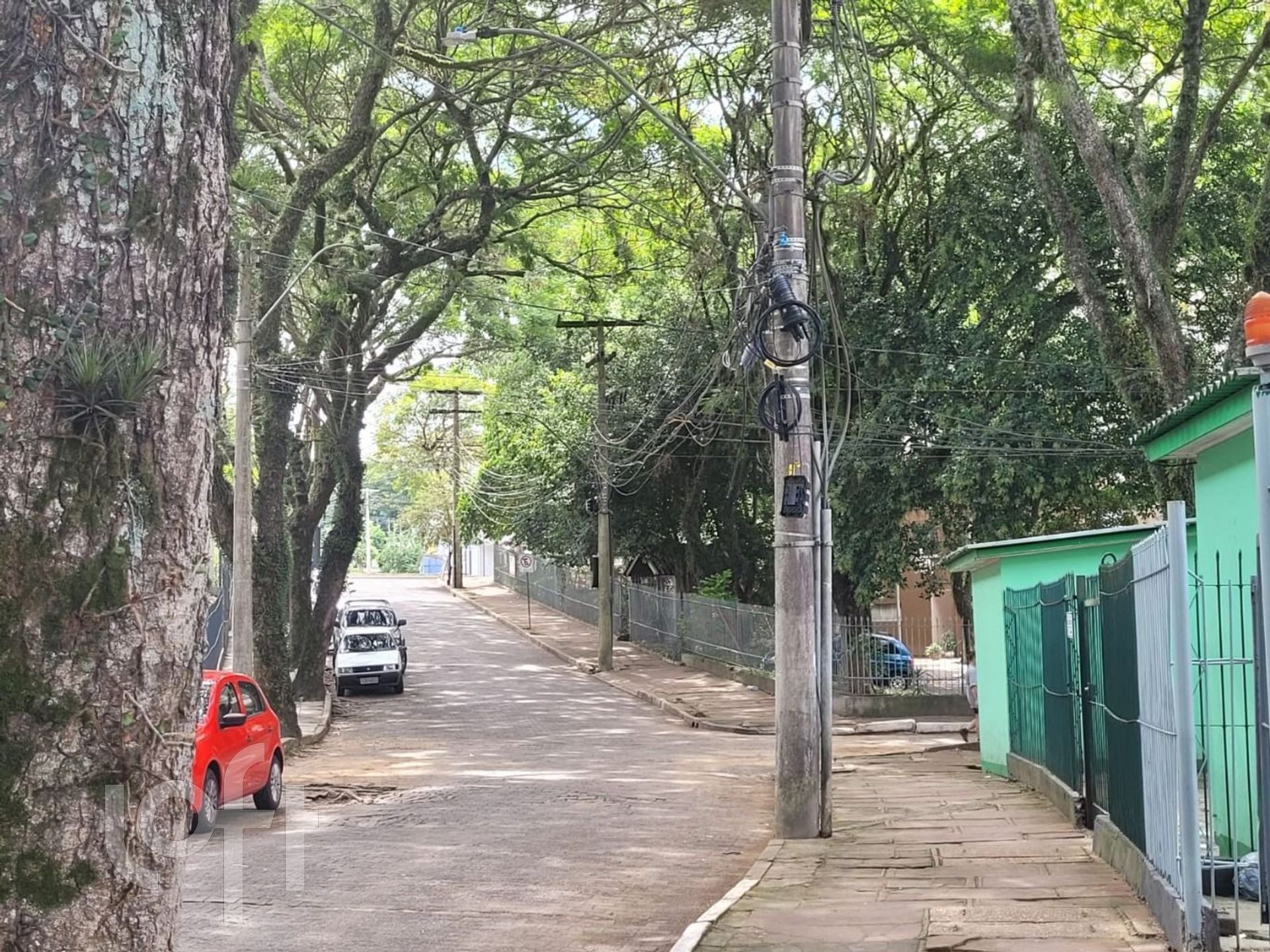 Imagem da propriedade 15