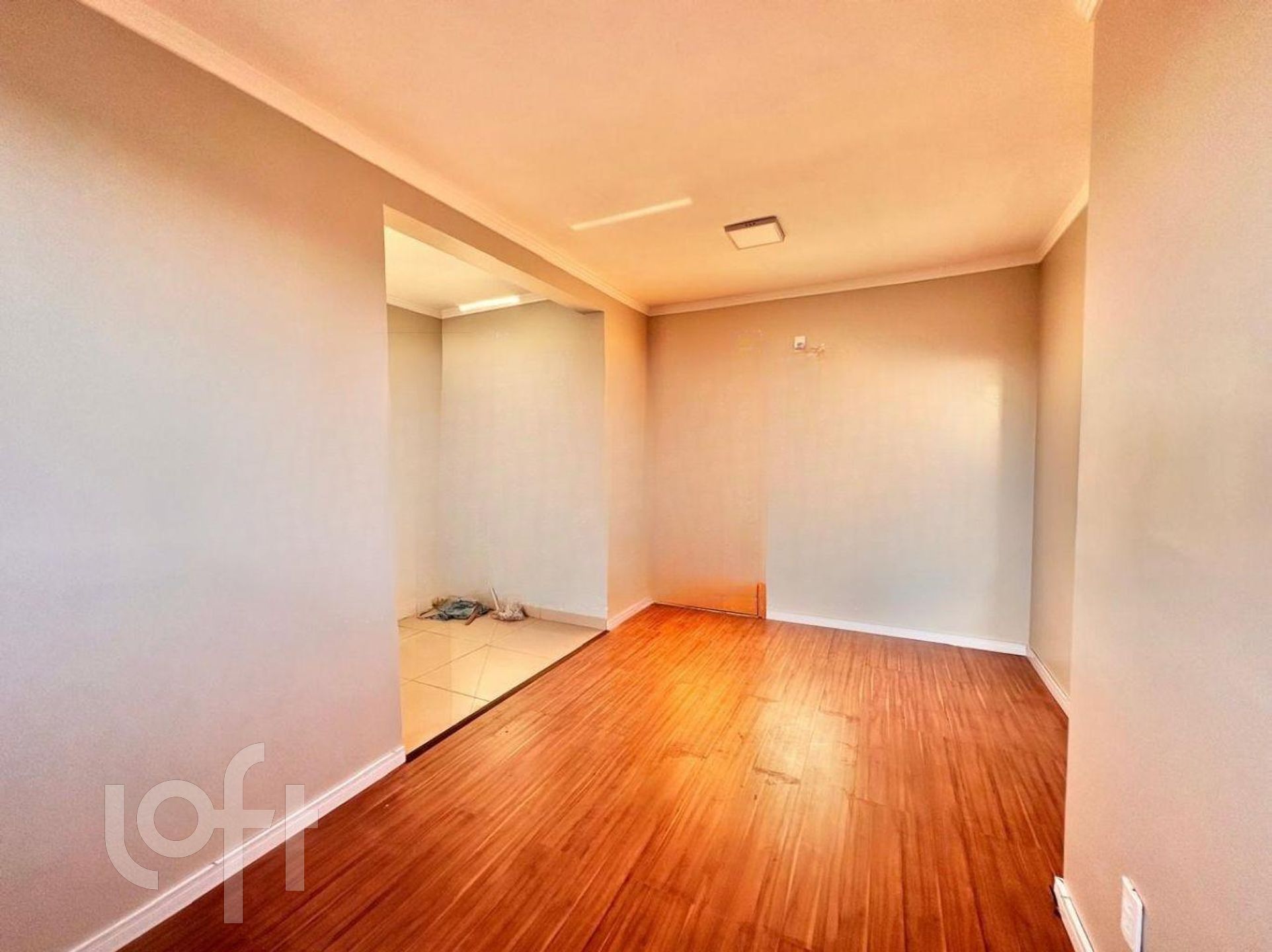 Imagem da propriedade 6