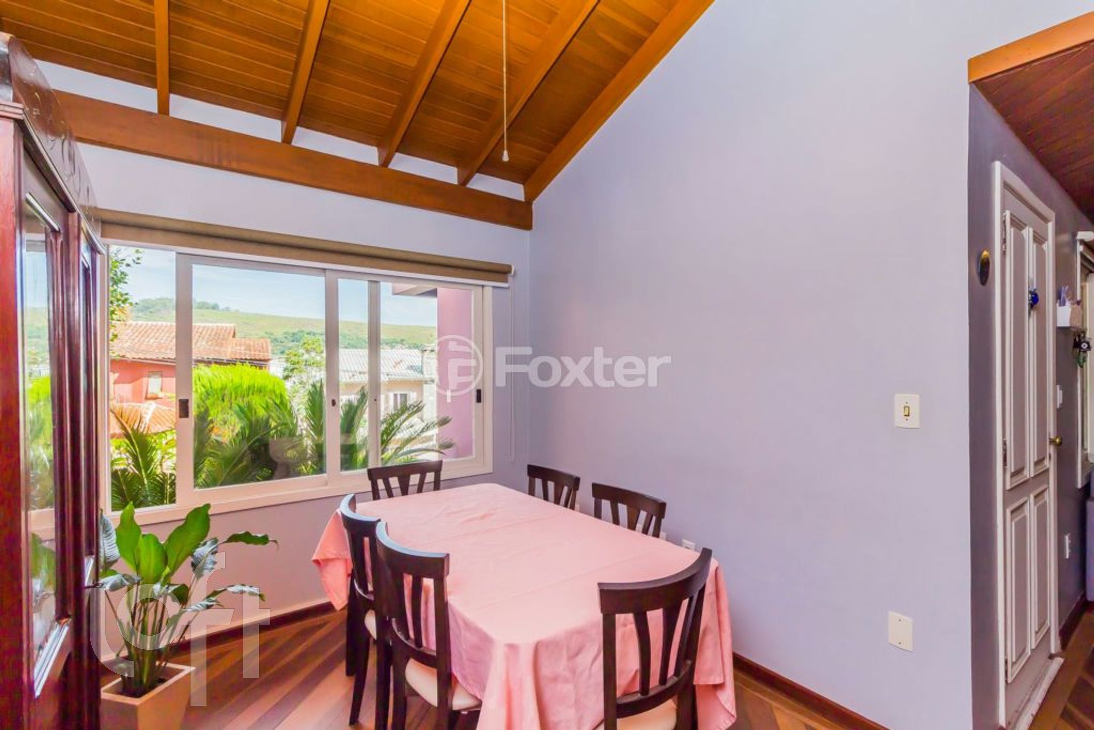 Imagem da propriedade 13