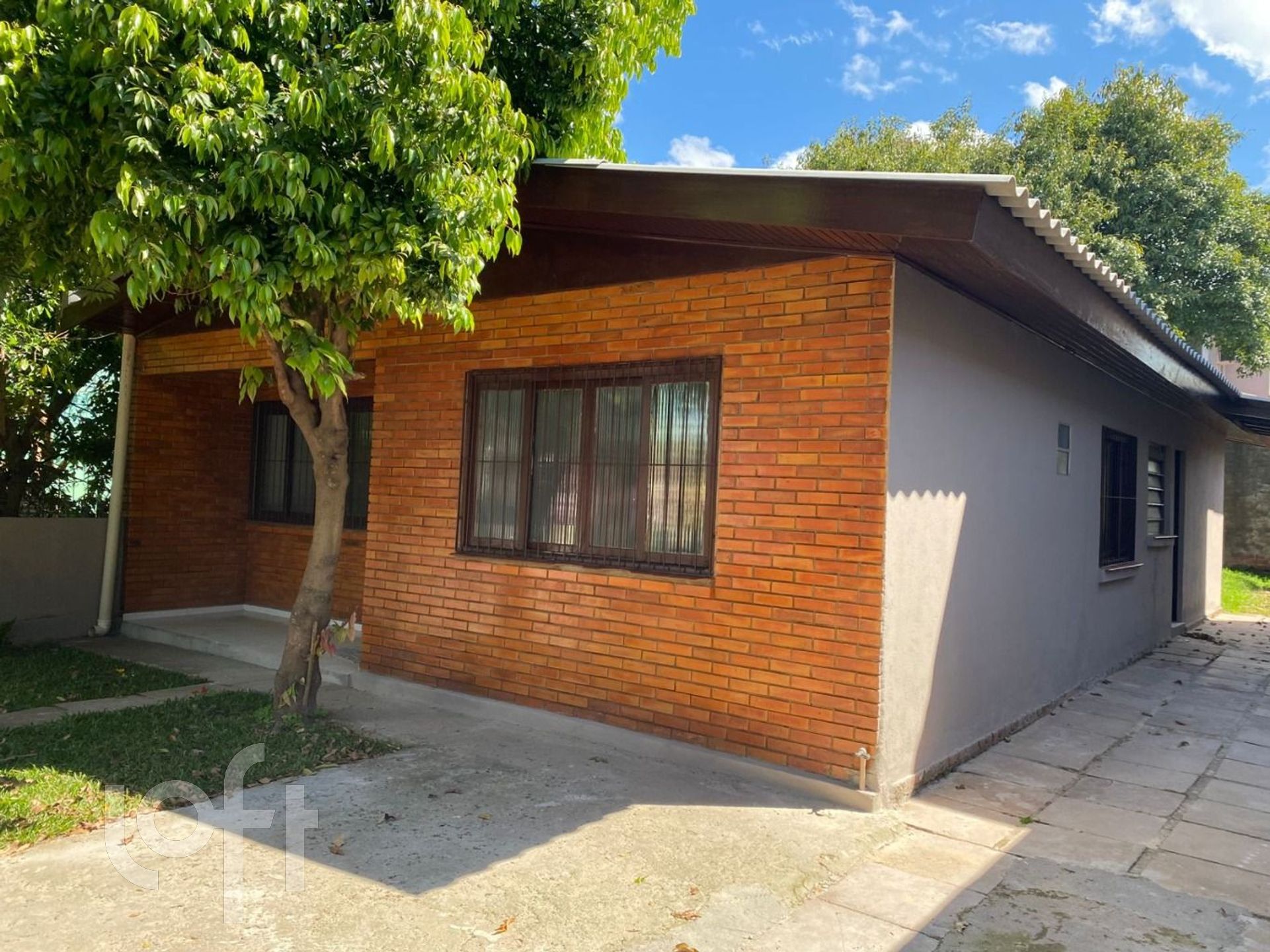 Imagem da propriedade 3