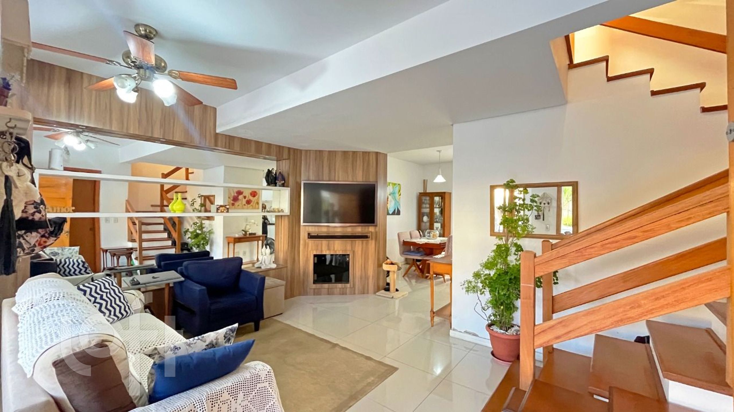 Imagem da propriedade 3