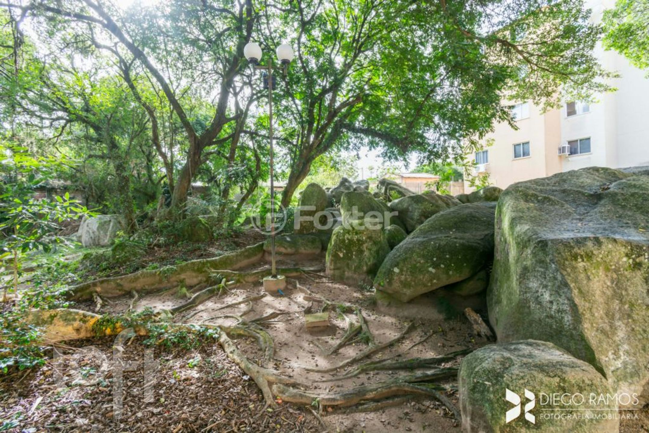 Imagem da propriedade 20