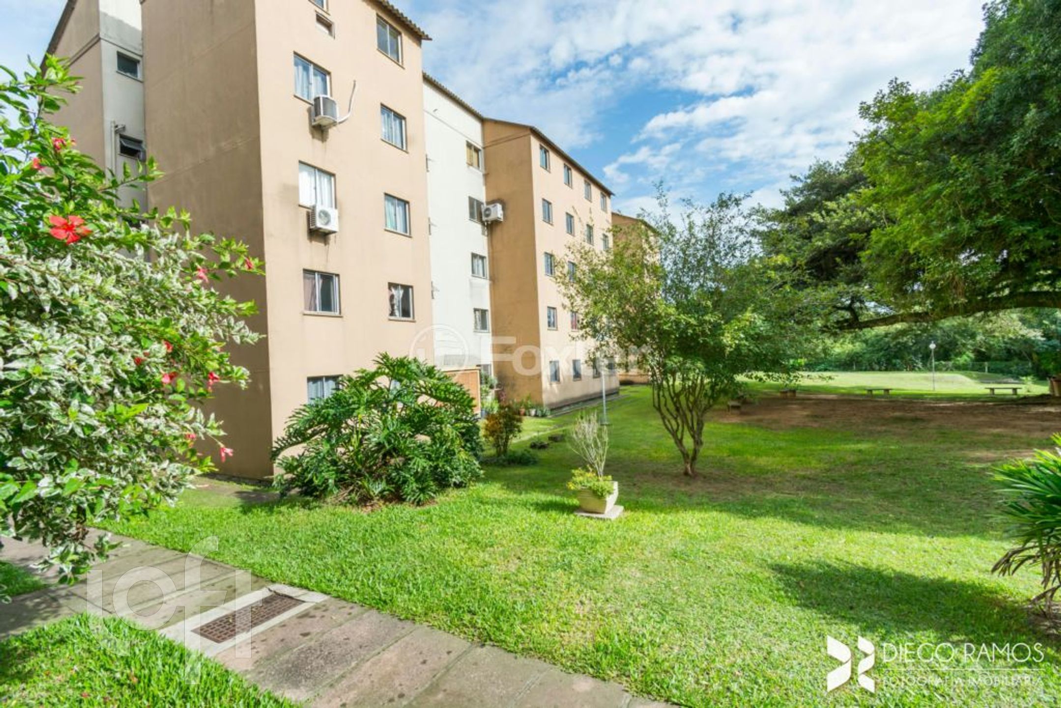 Imagem da propriedade 18