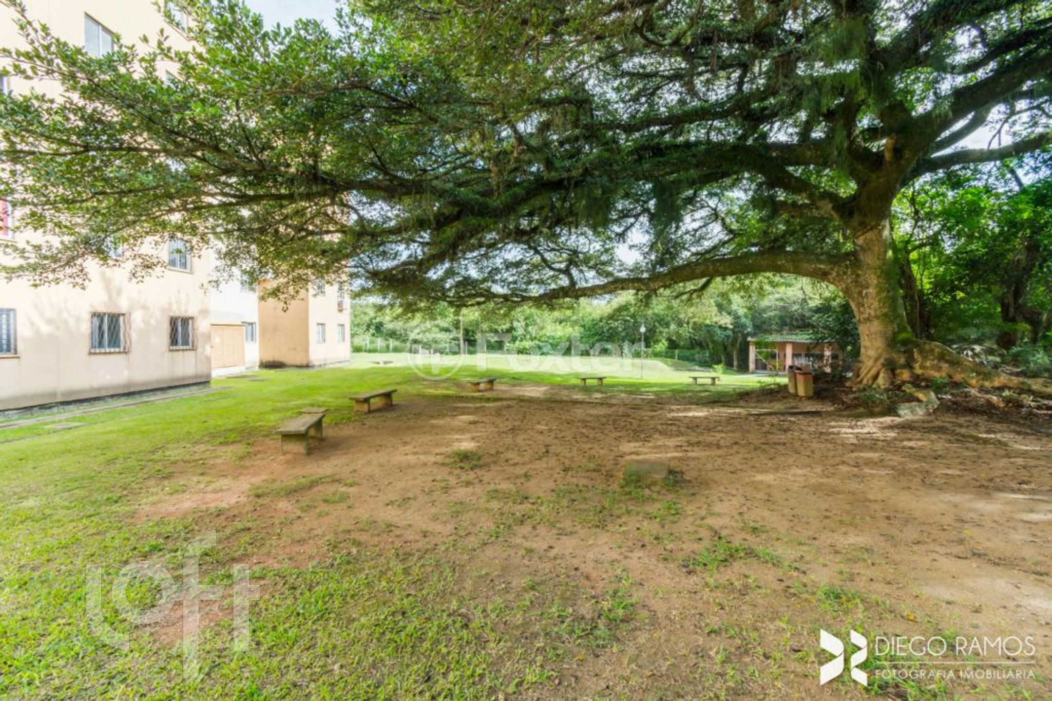 Imagem da propriedade 19