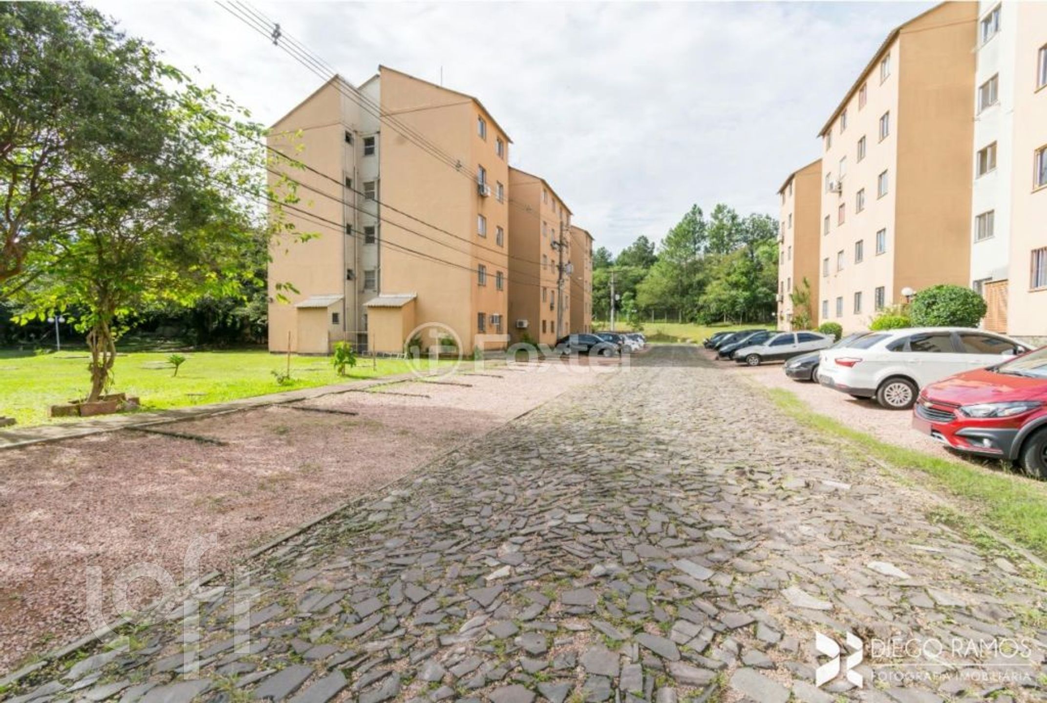 Imagem da propriedade 16