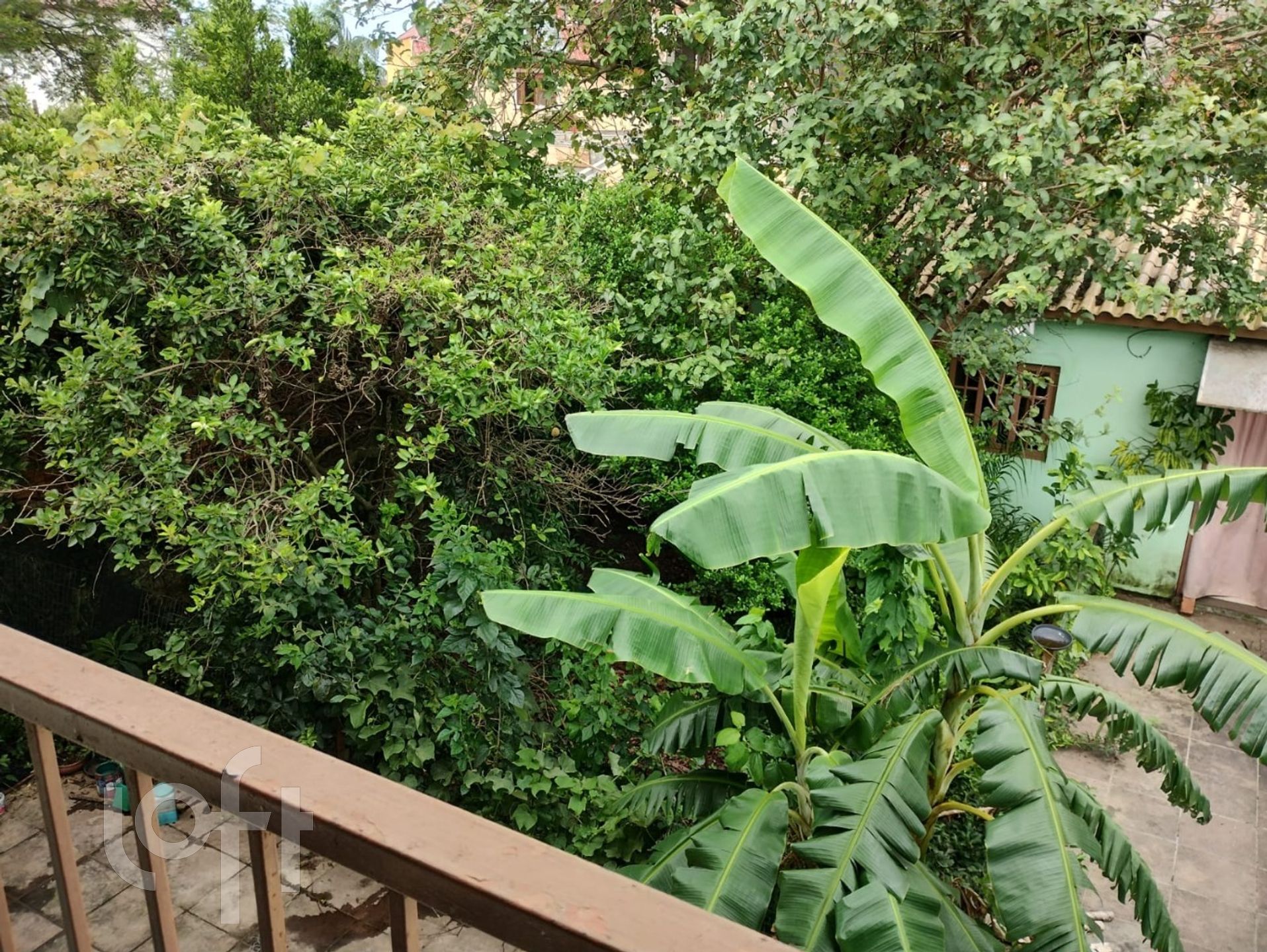 Imagem da propriedade 21