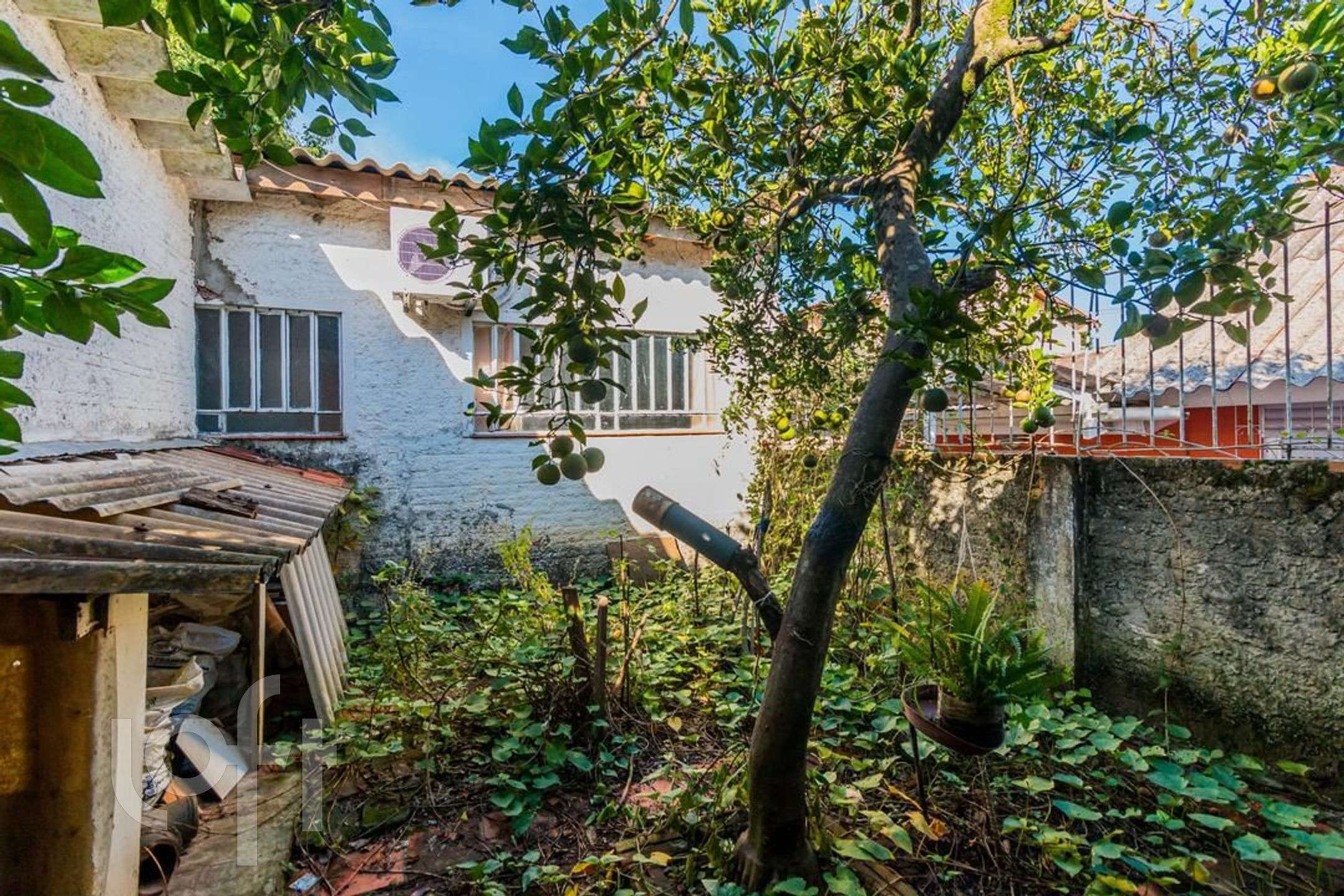 Imagem da propriedade 42