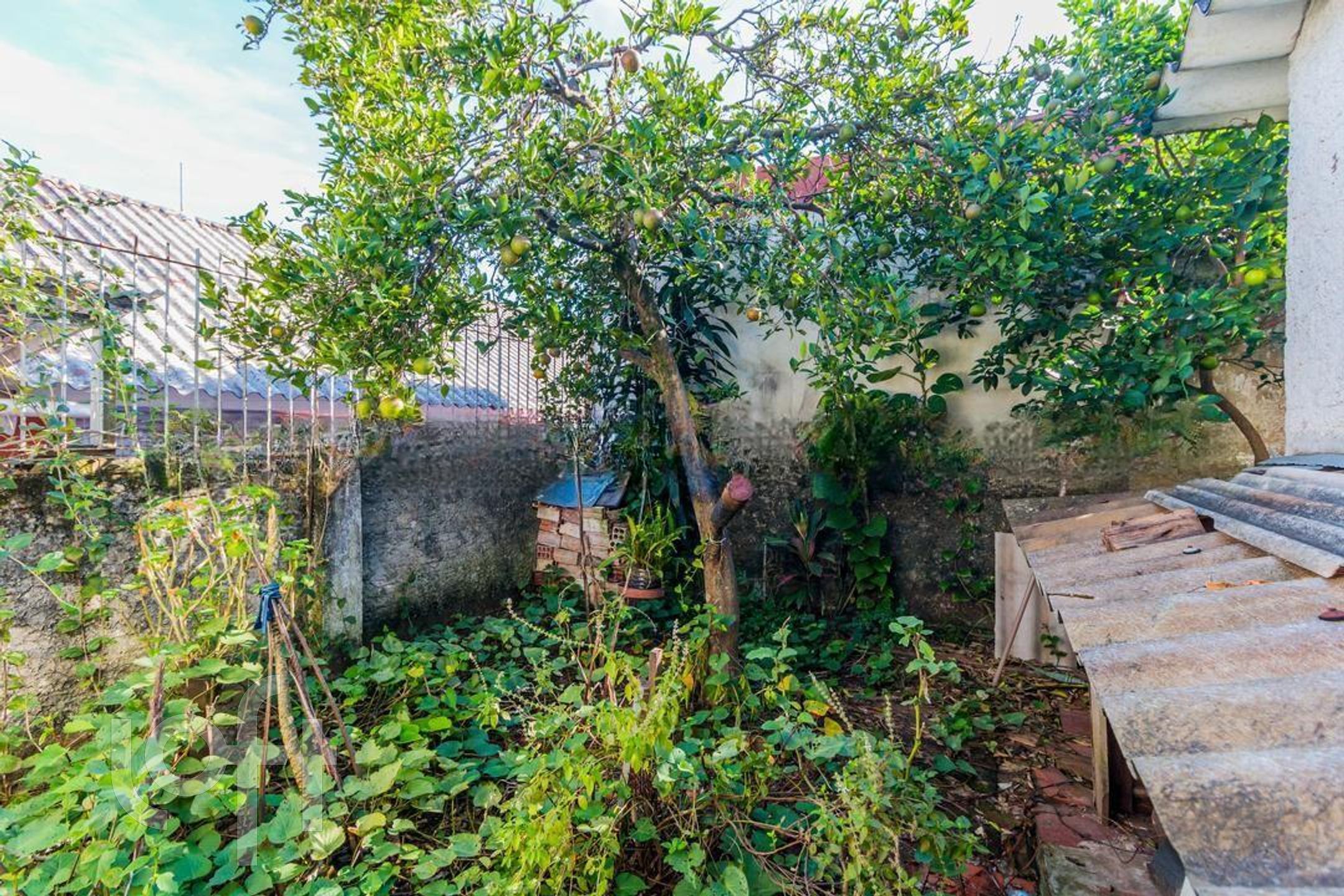 Imagem da propriedade 43