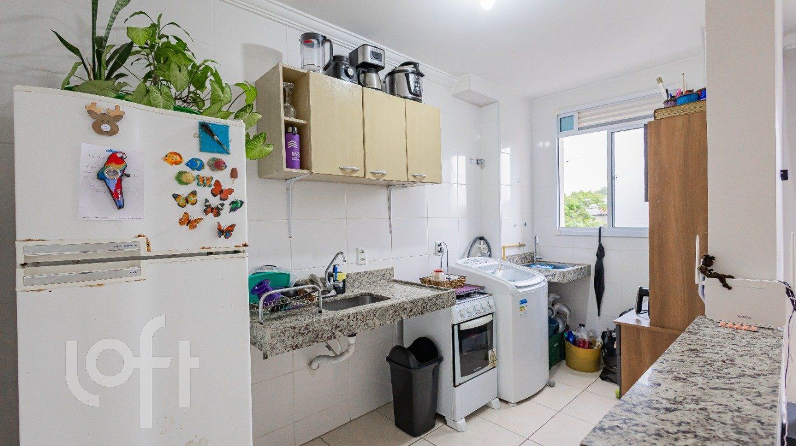 Imagem da propriedade 12